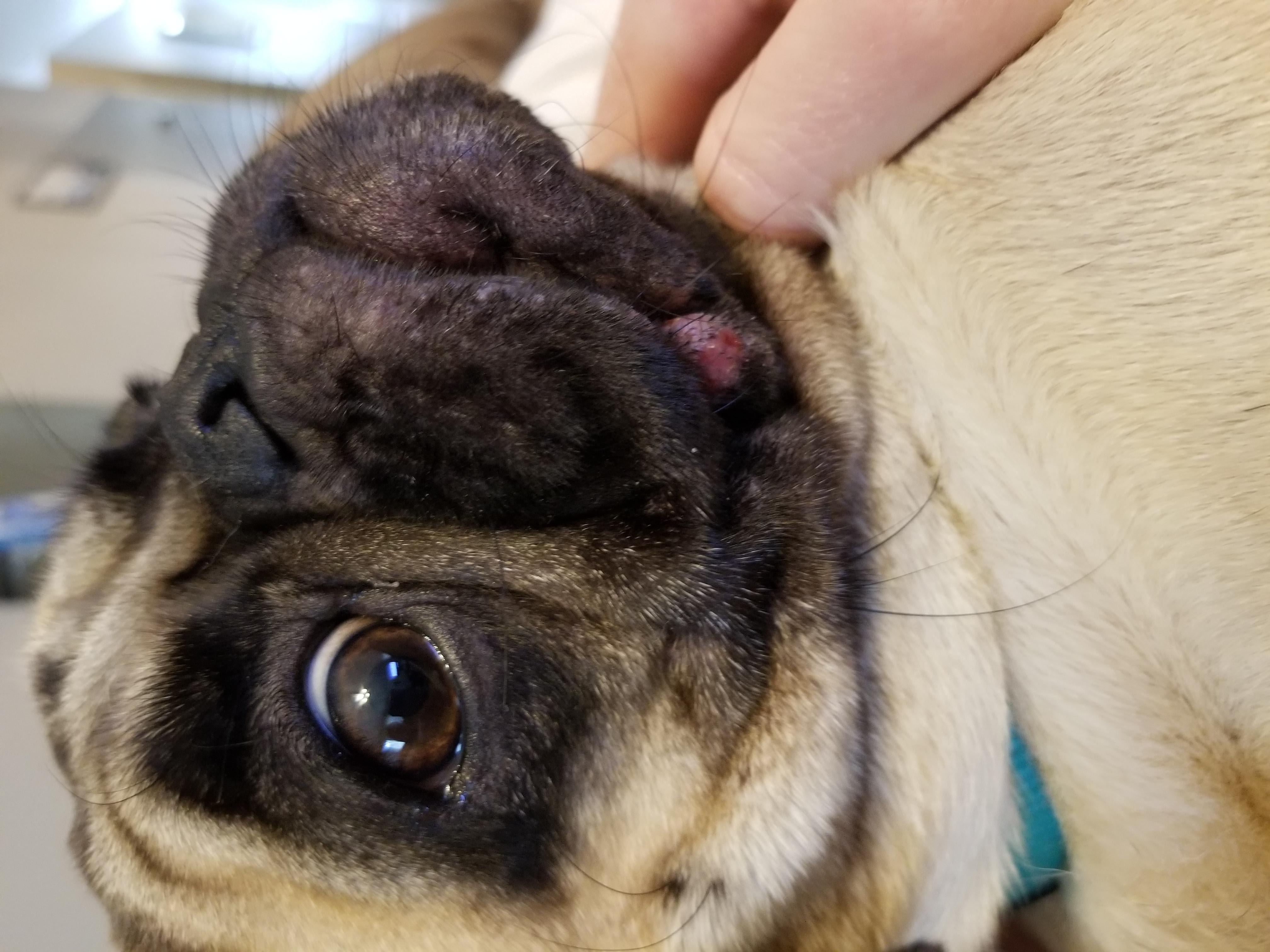 Question details sensitive content