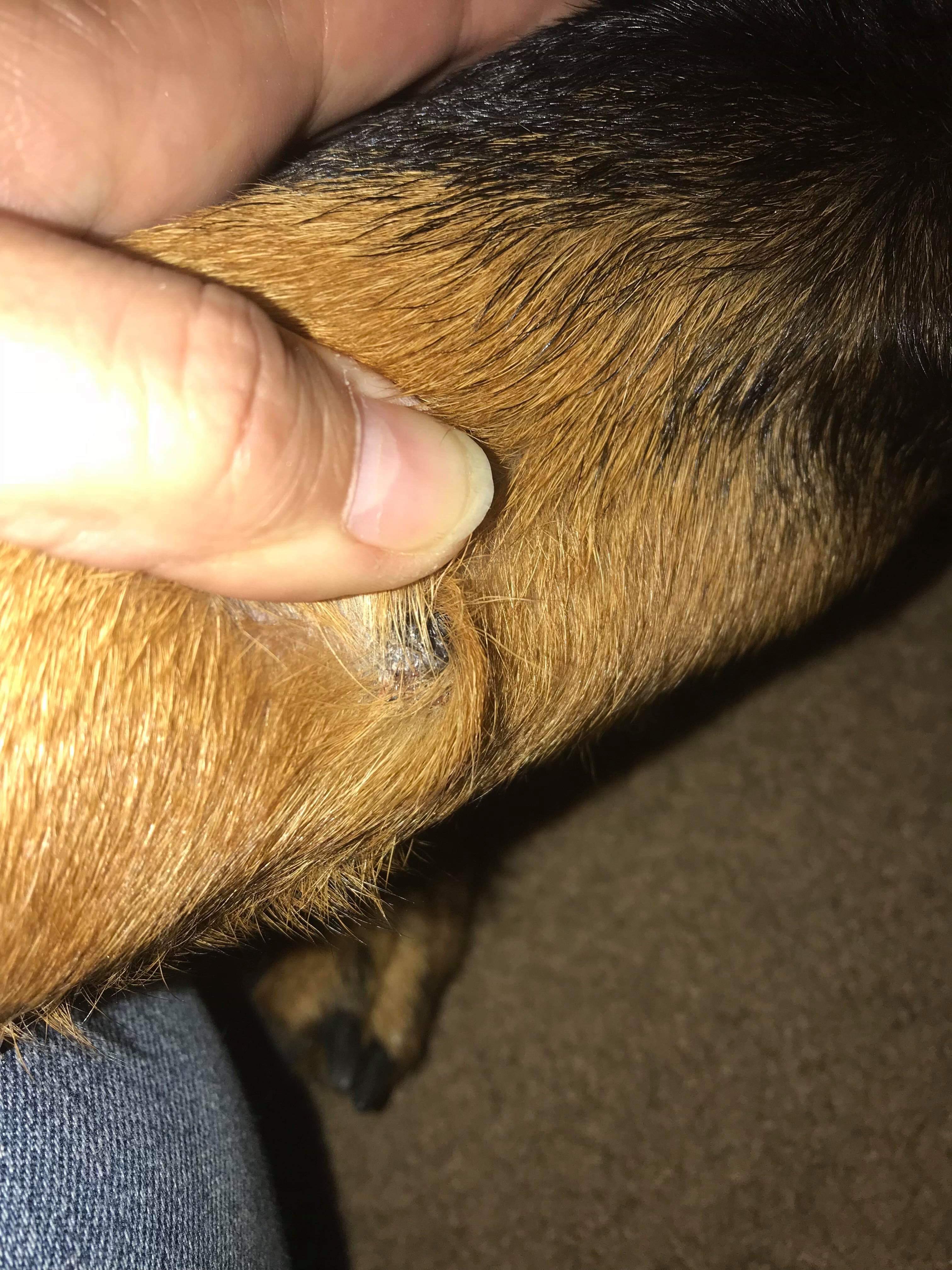 Question details sensitive content