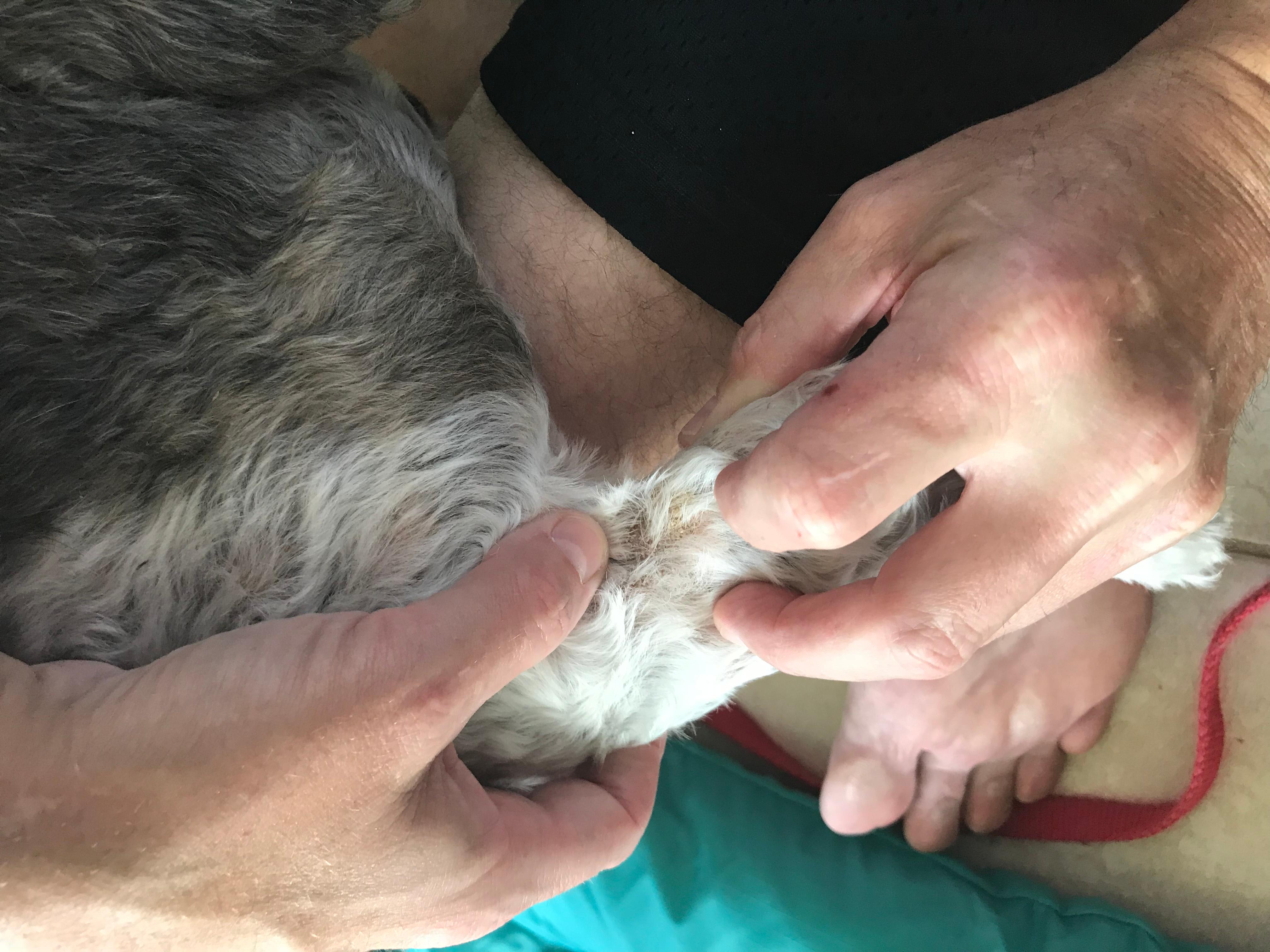 Question details sensitive content