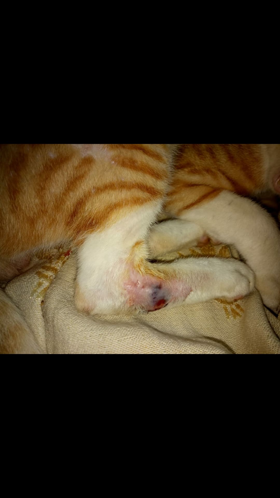 Question details sensitive content