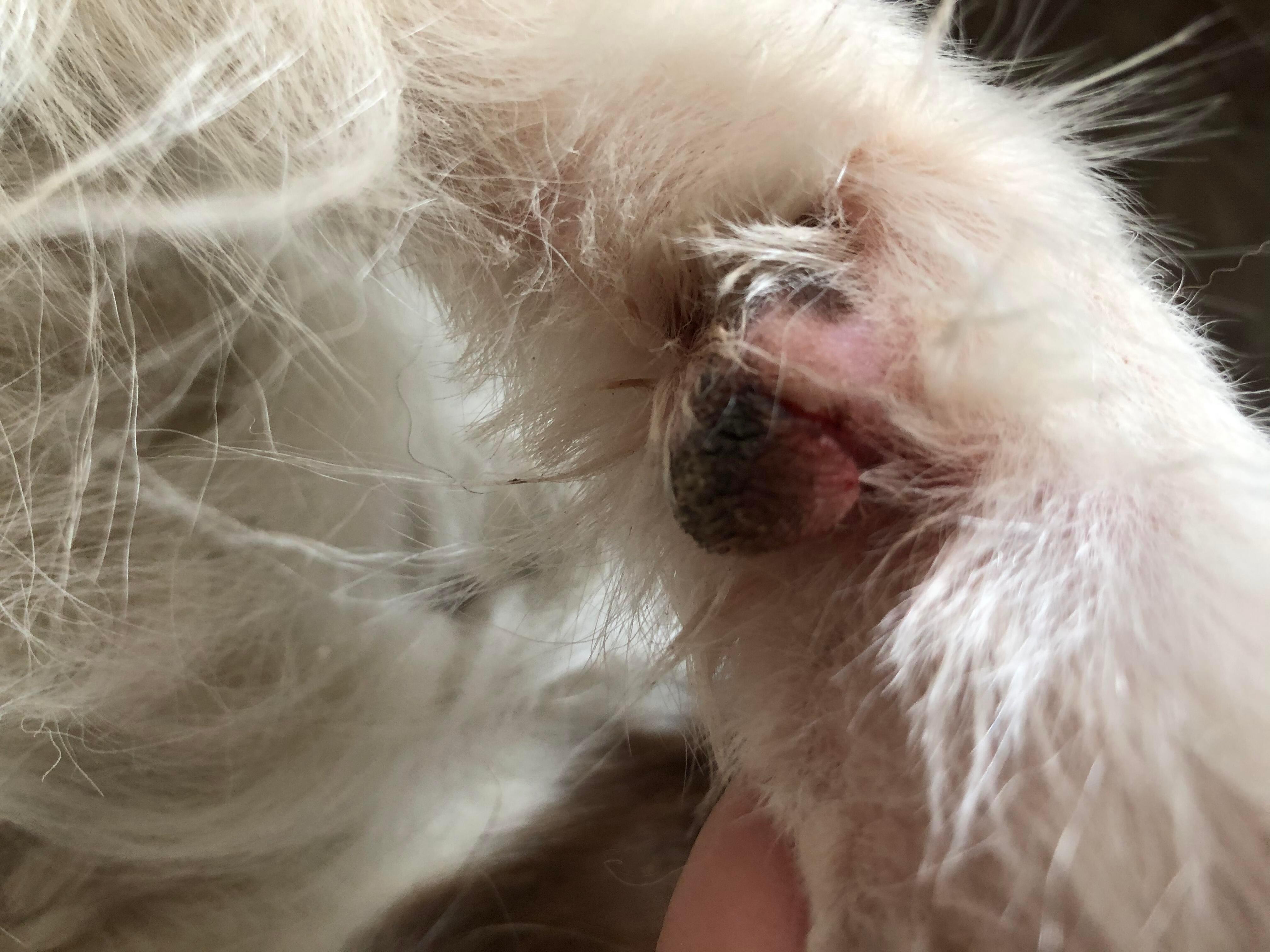 Question details sensitive content