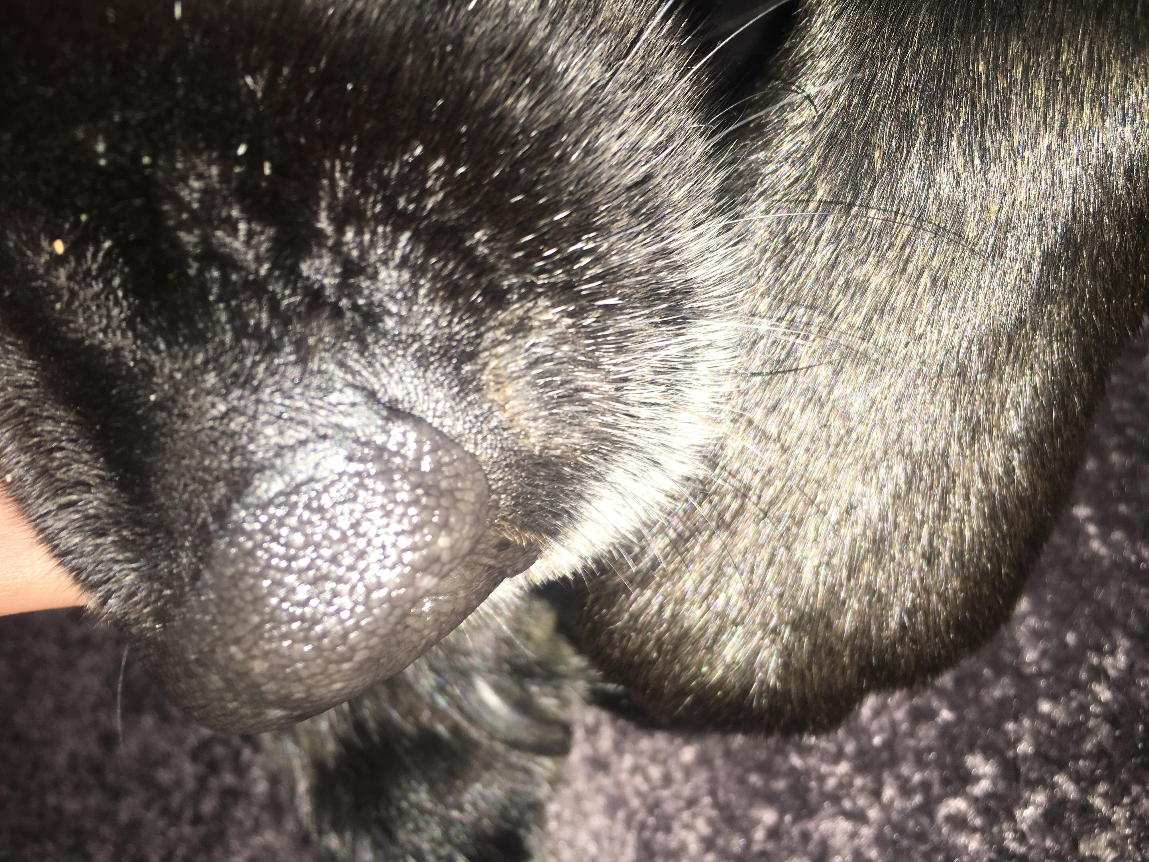 Question details sensitive content