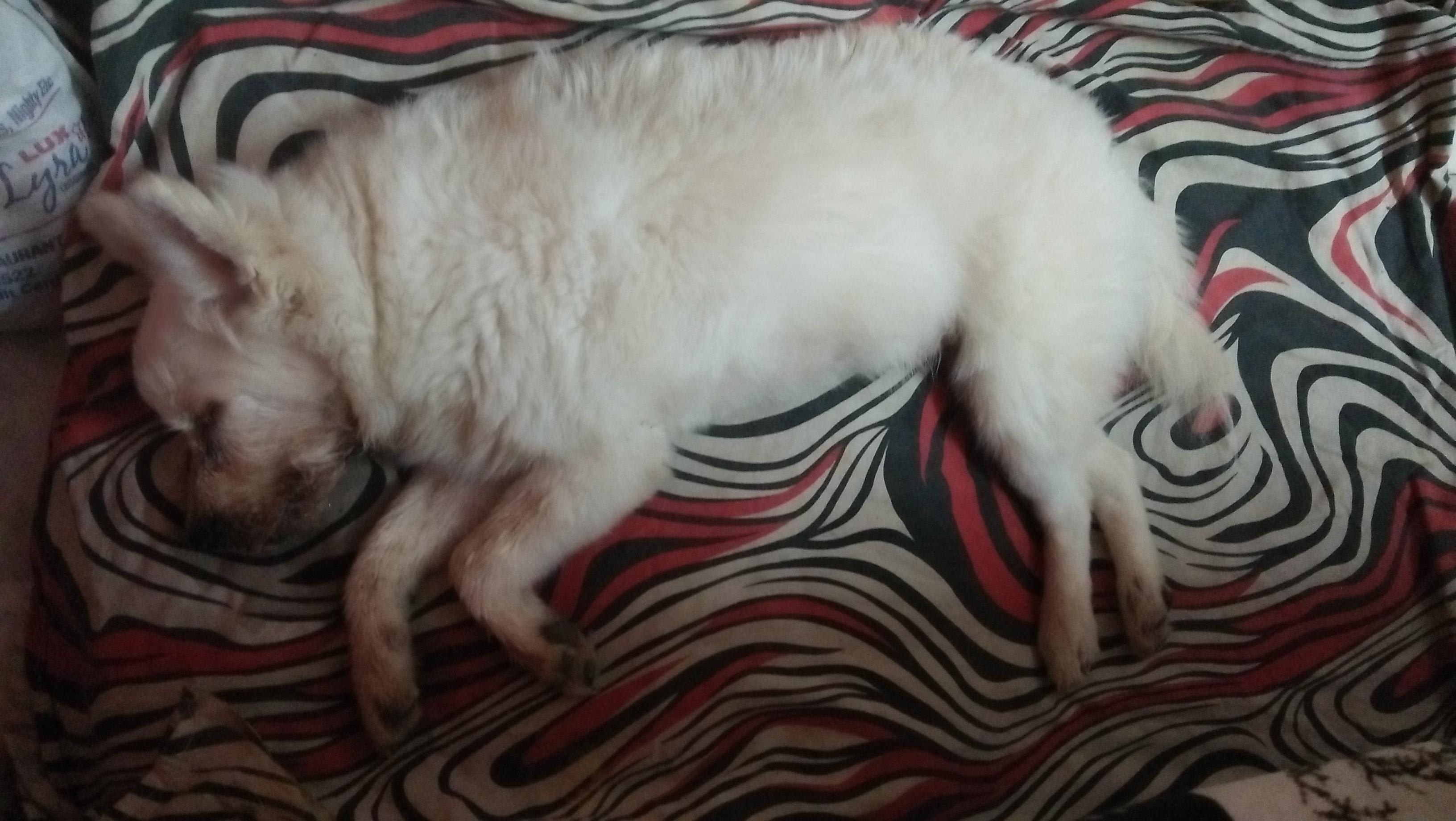 Question details sensitive content