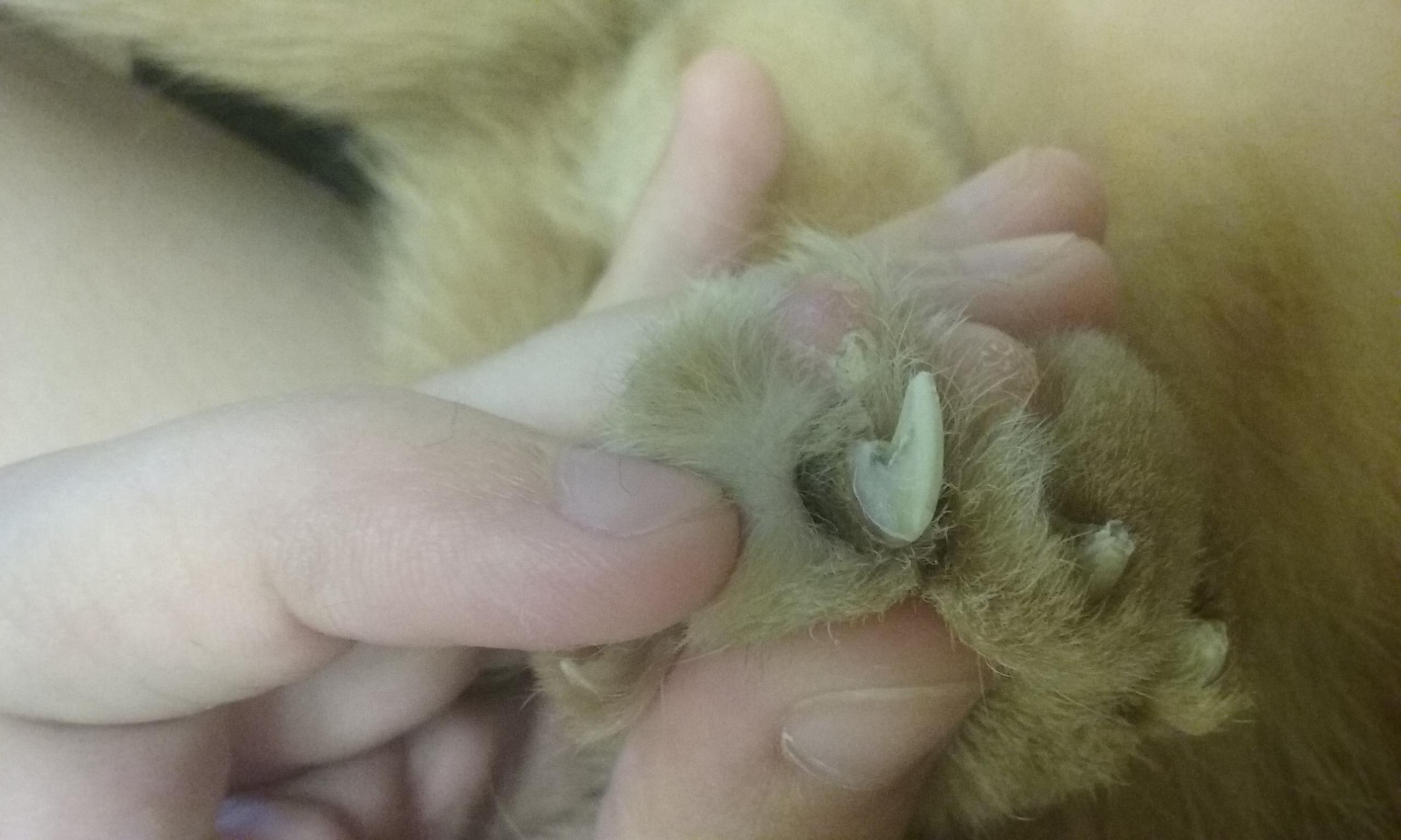 Question details sensitive content