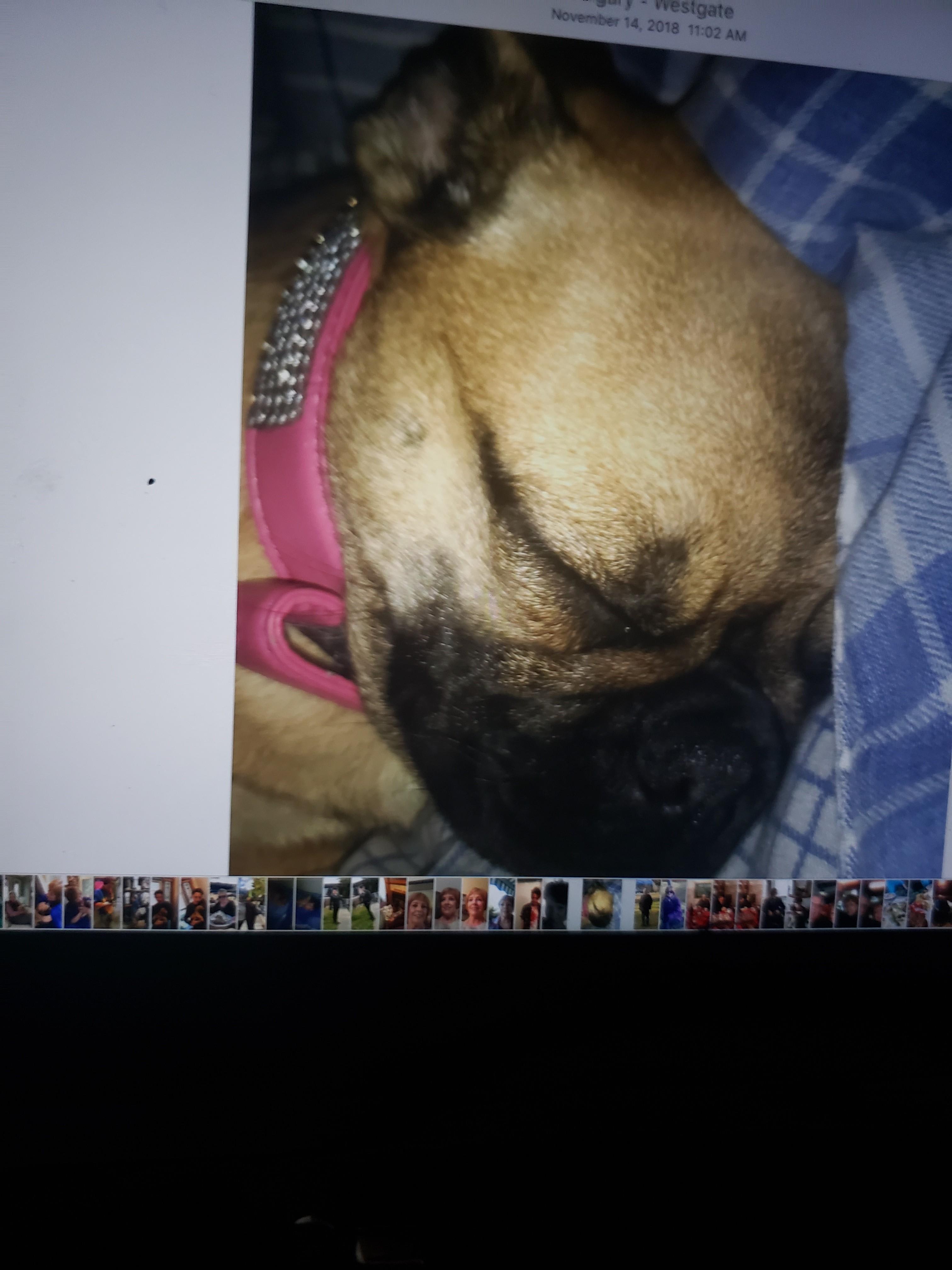 Question details sensitive content