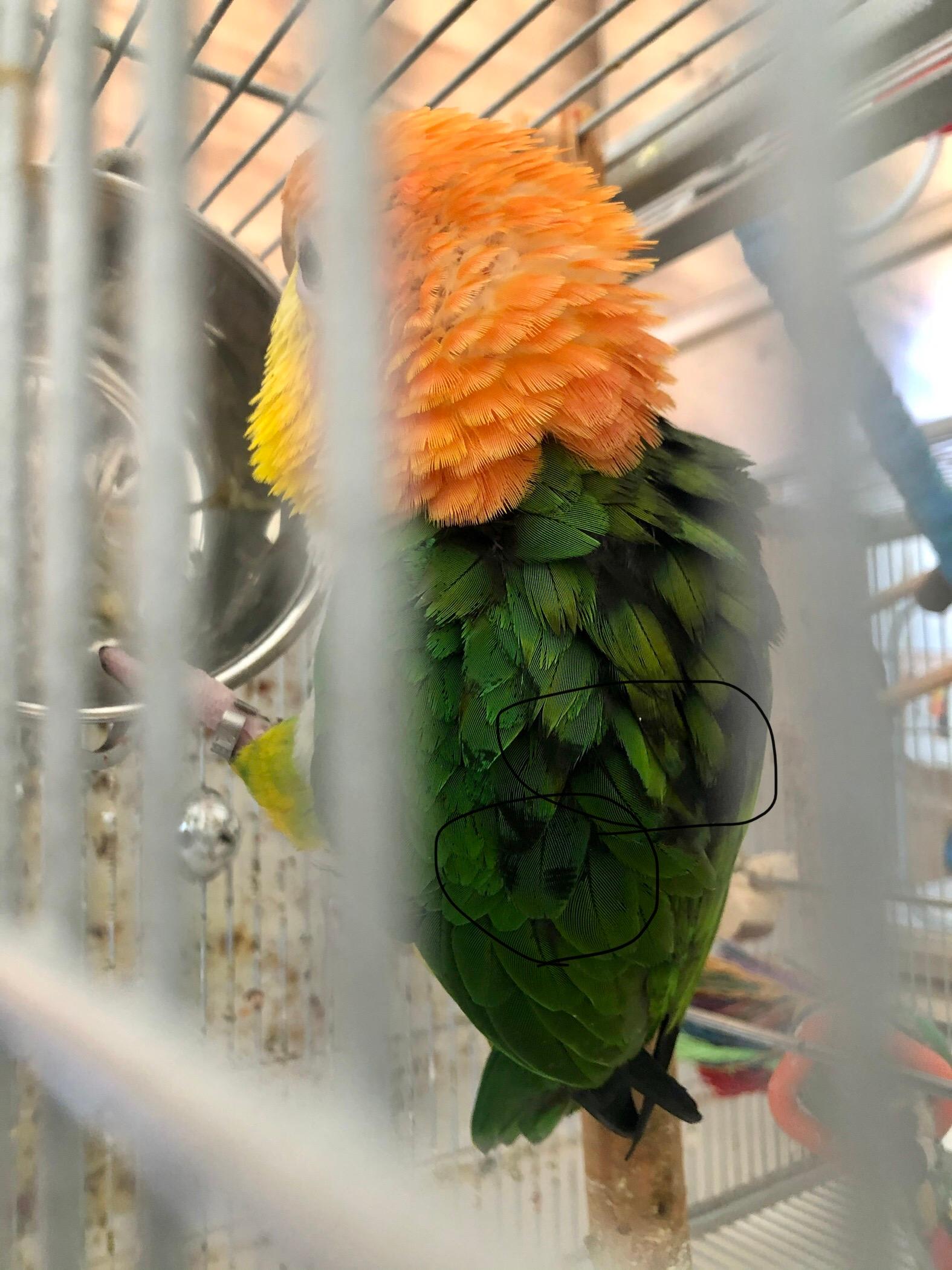 Question details sensitive content