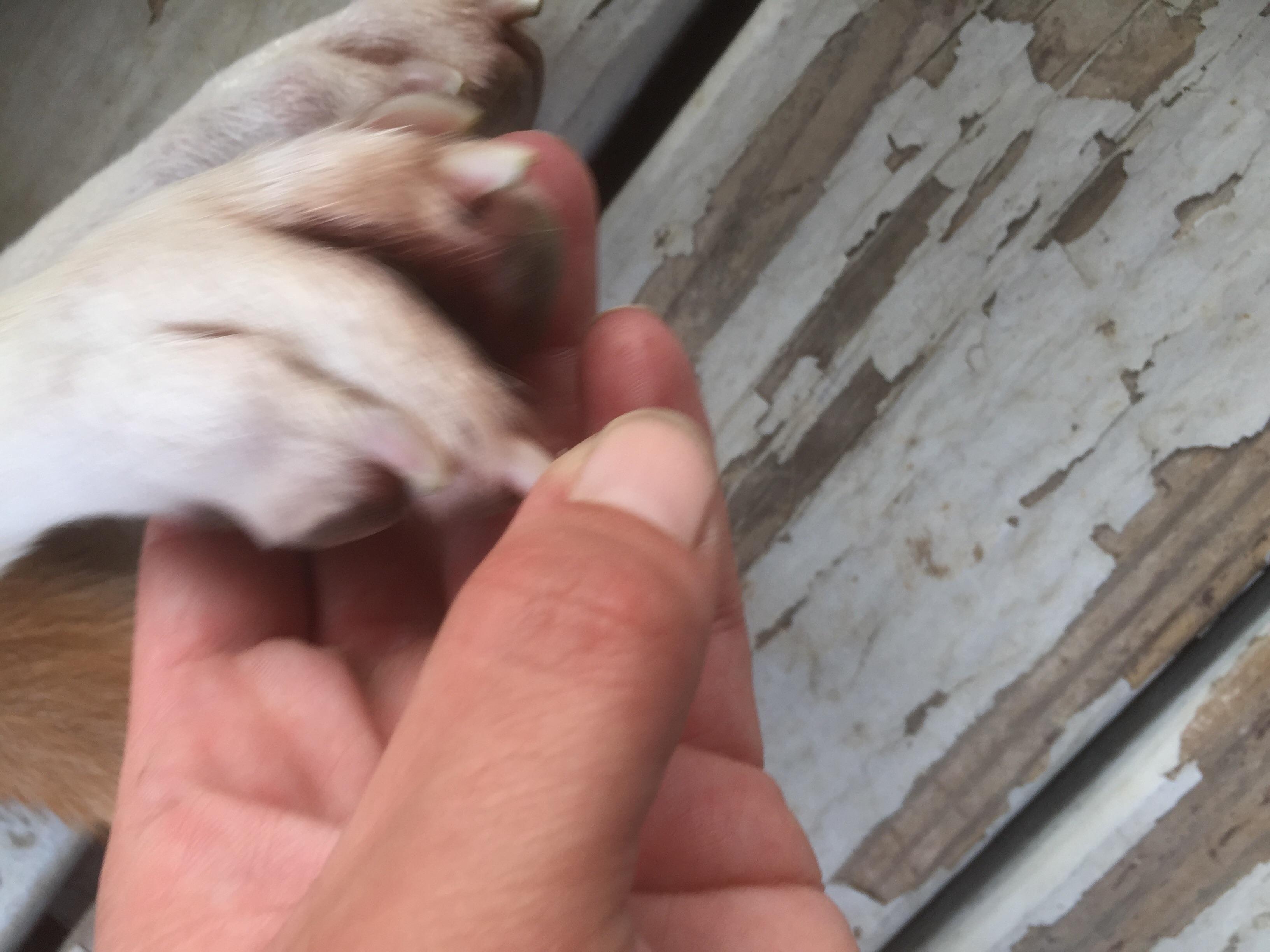 Question details sensitive content