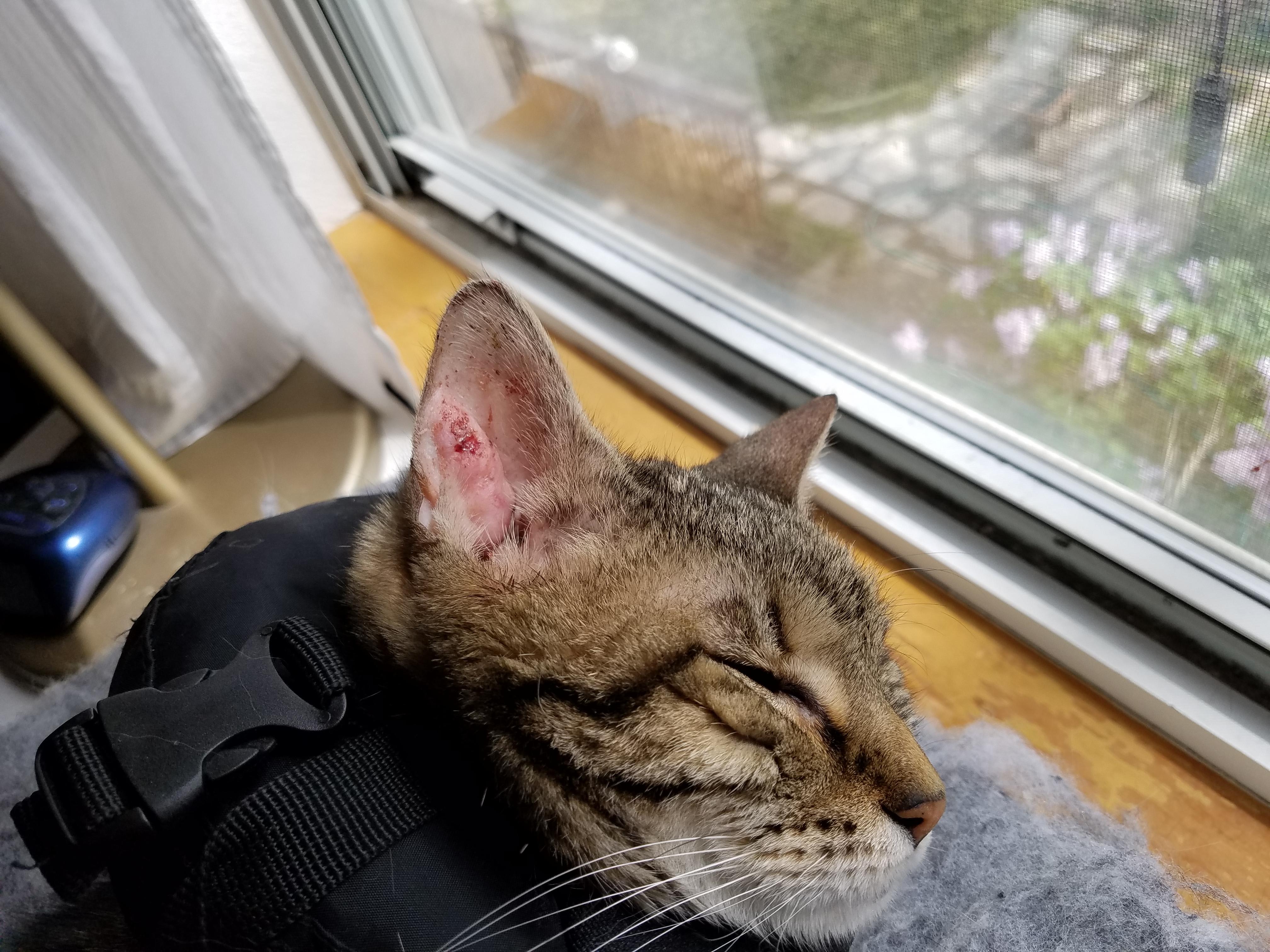 Question details sensitive content