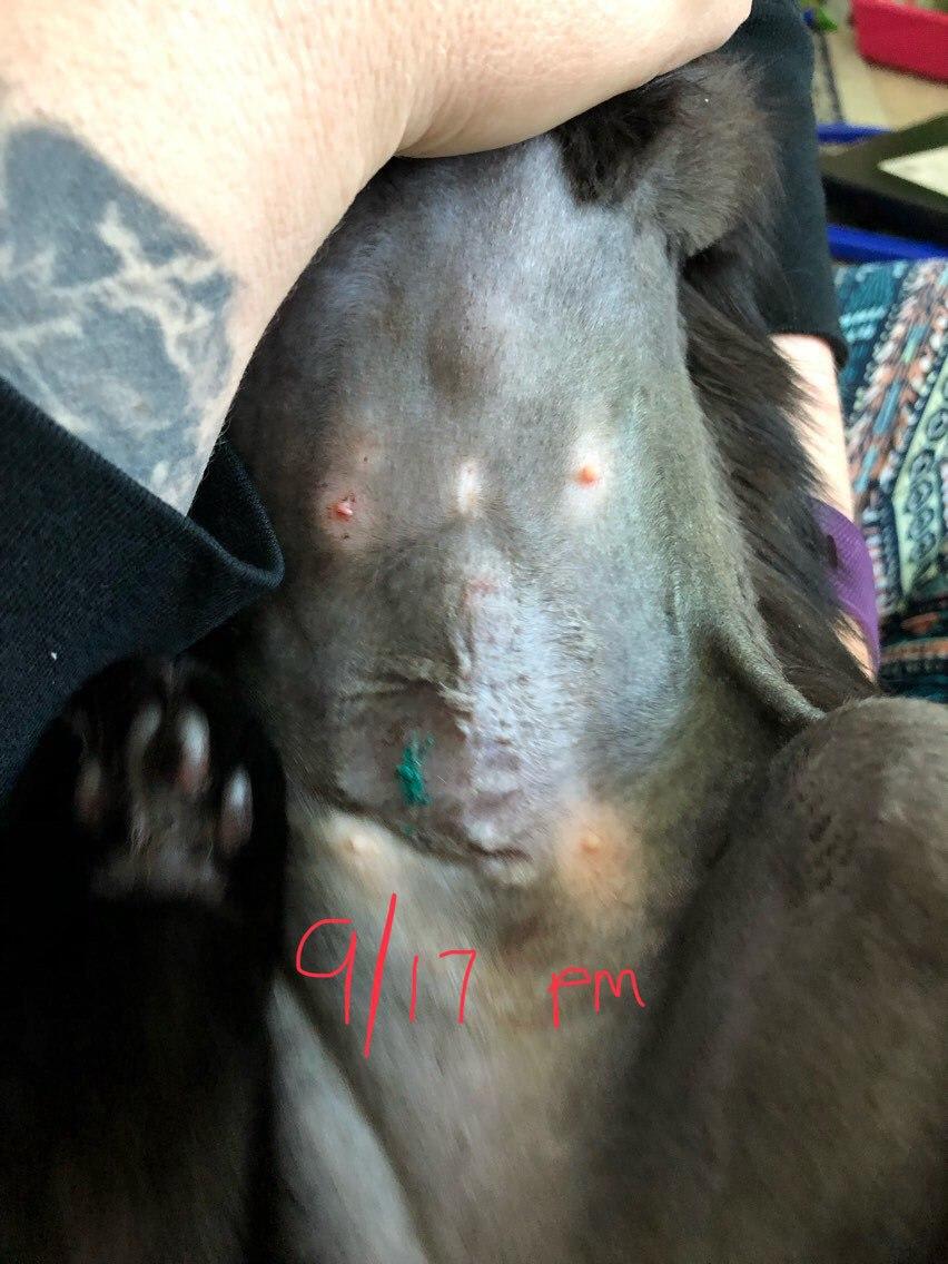 Question details sensitive content