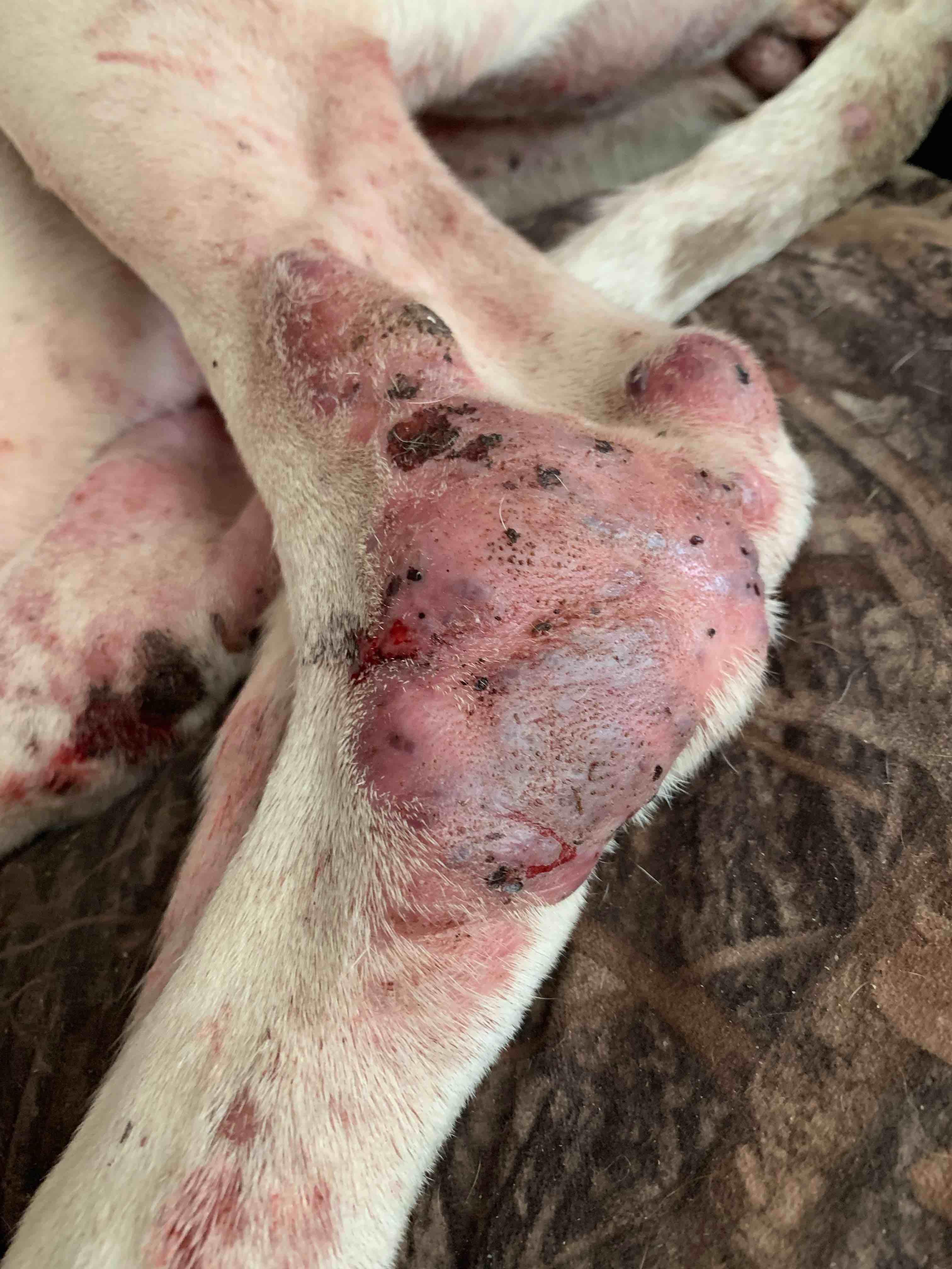 Question details sensitive content