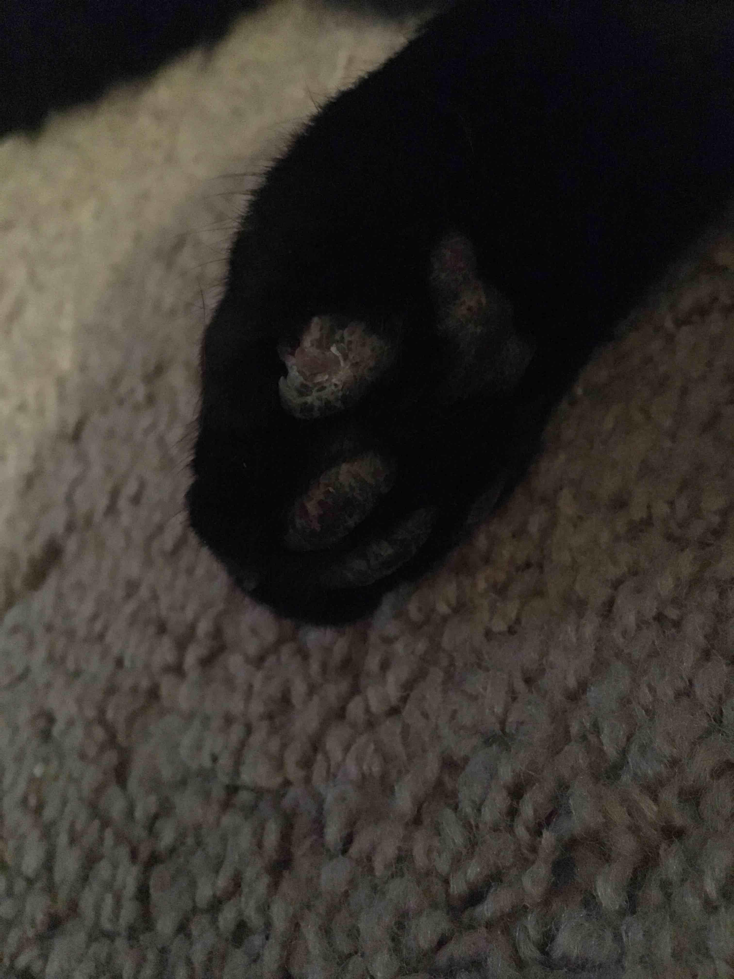 Question details sensitive content