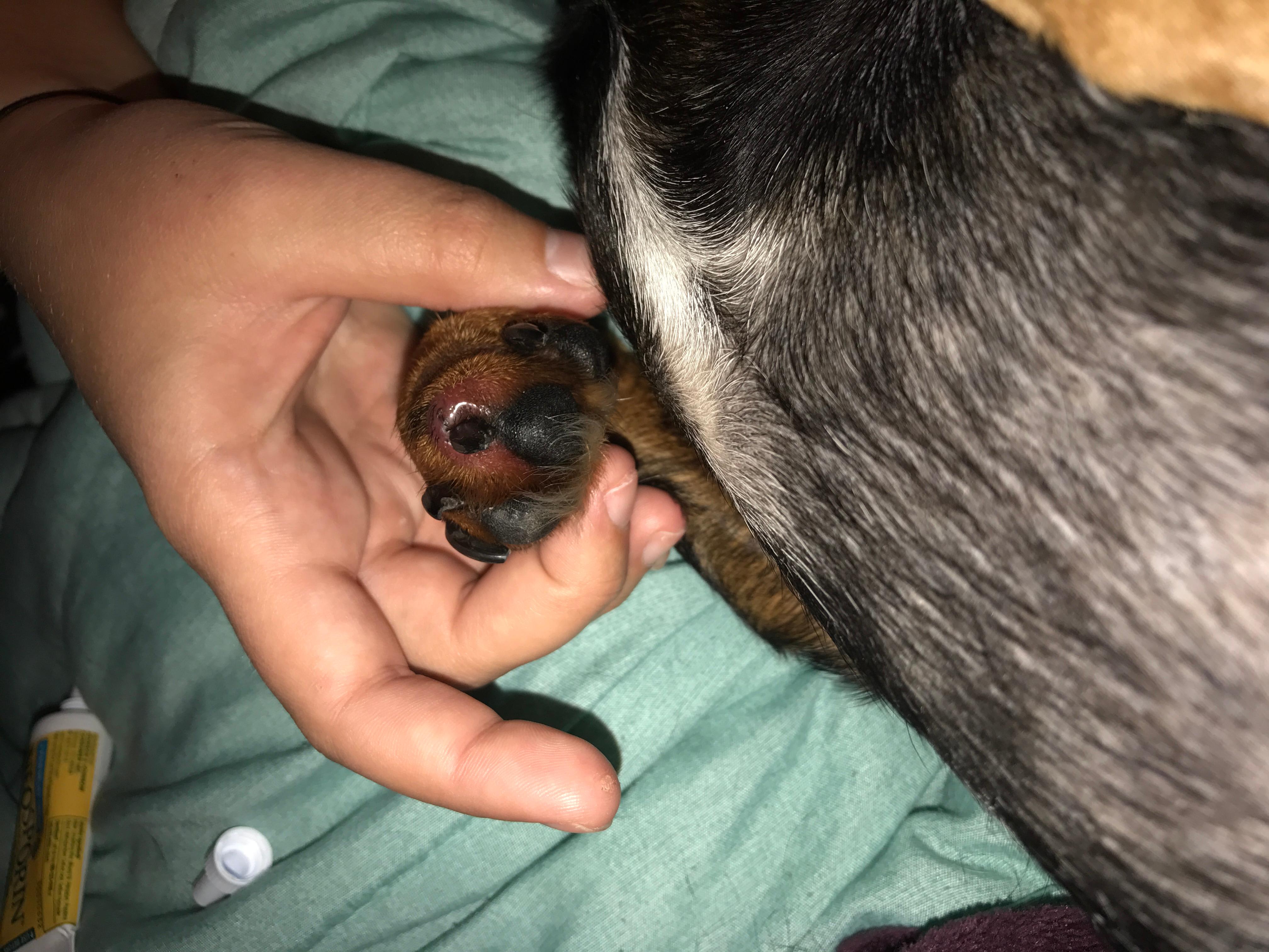 Question details sensitive content