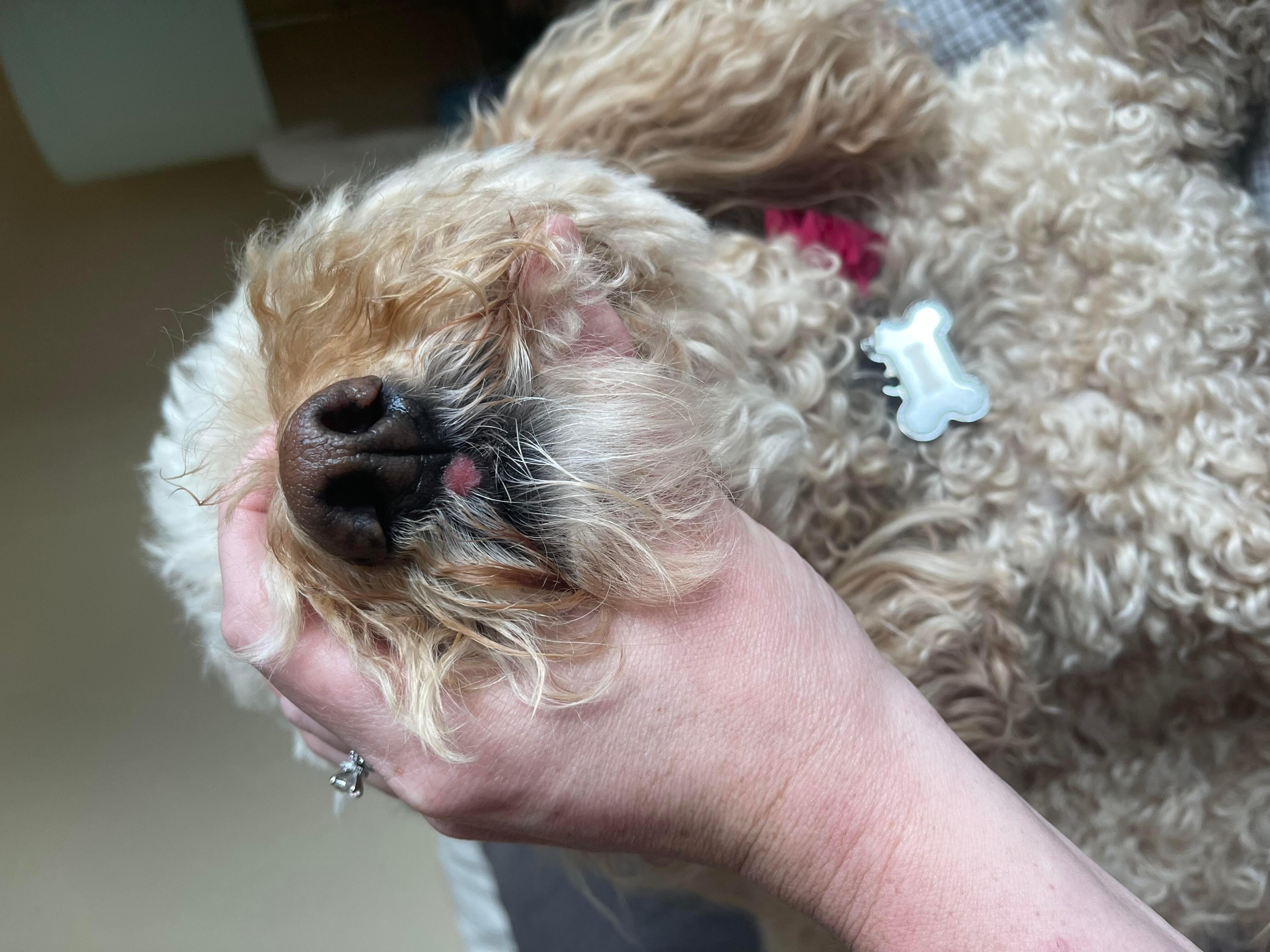 Question details sensitive content