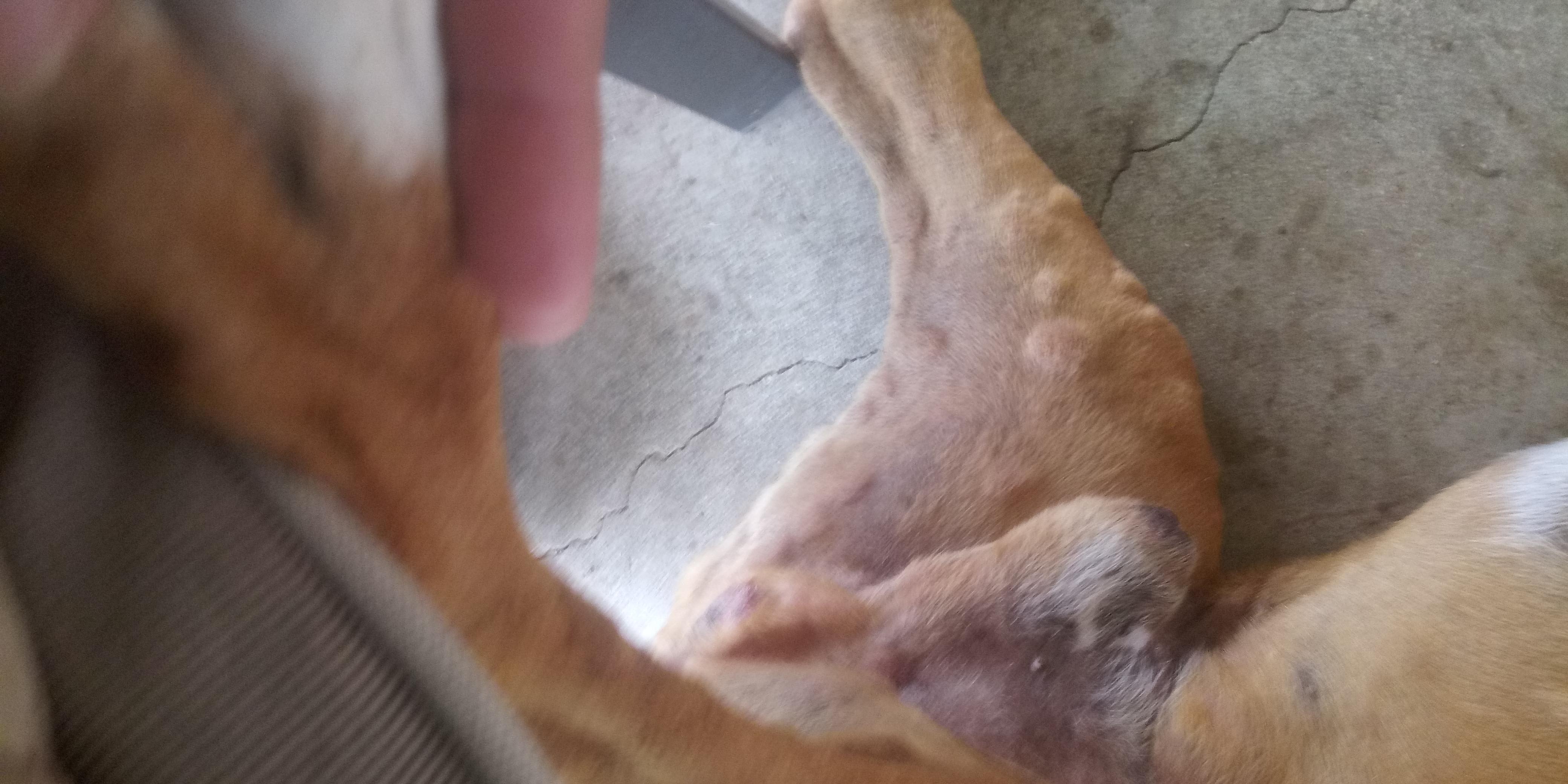 Question details sensitive content