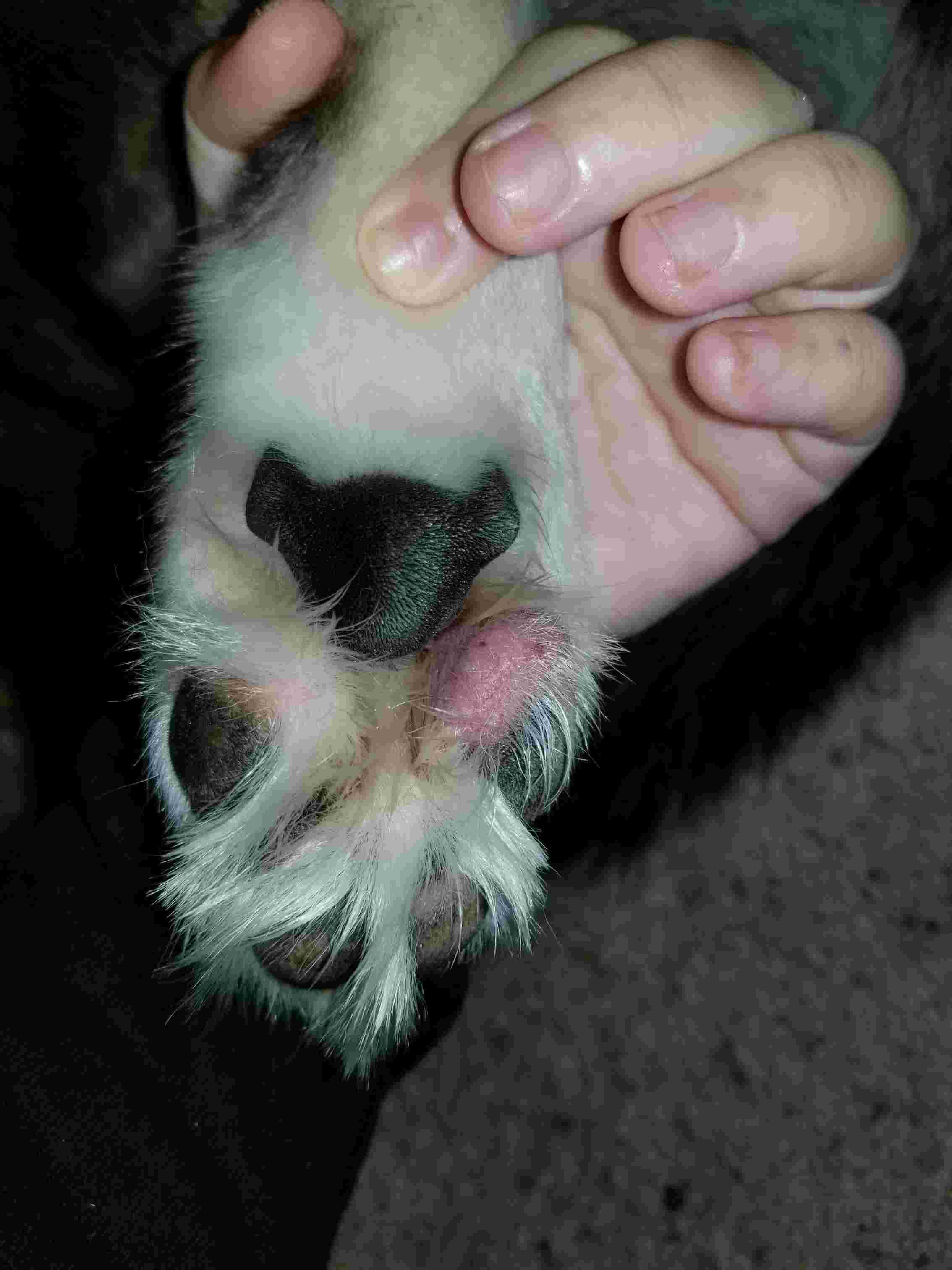 Question details sensitive content