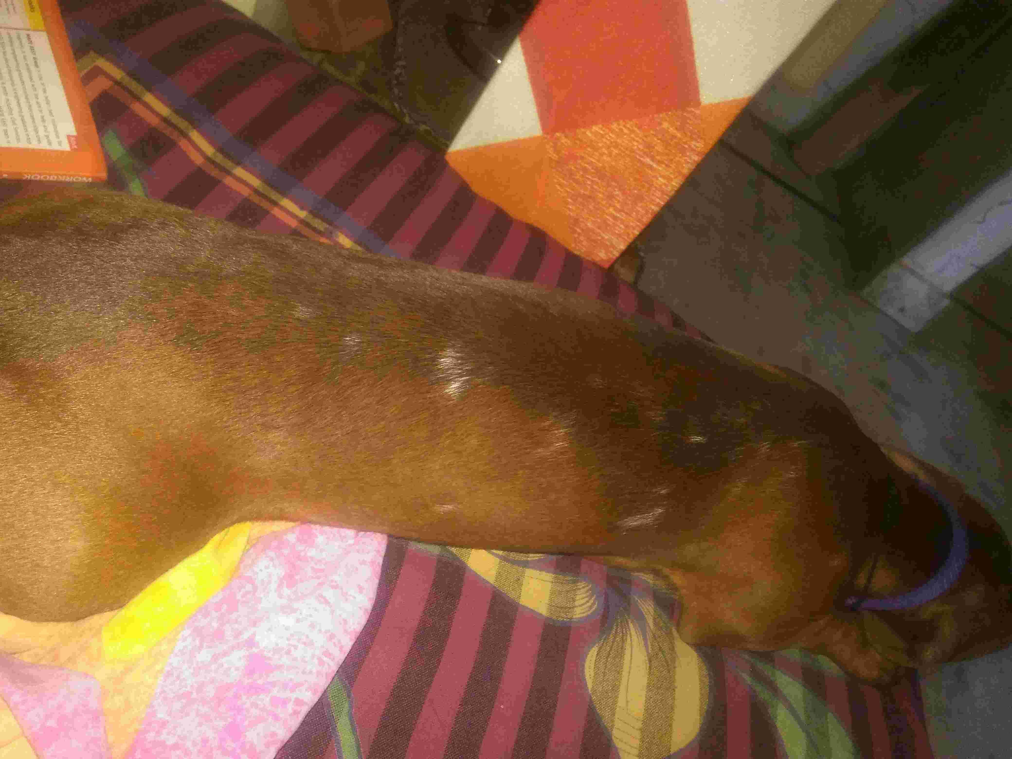 Question details sensitive content