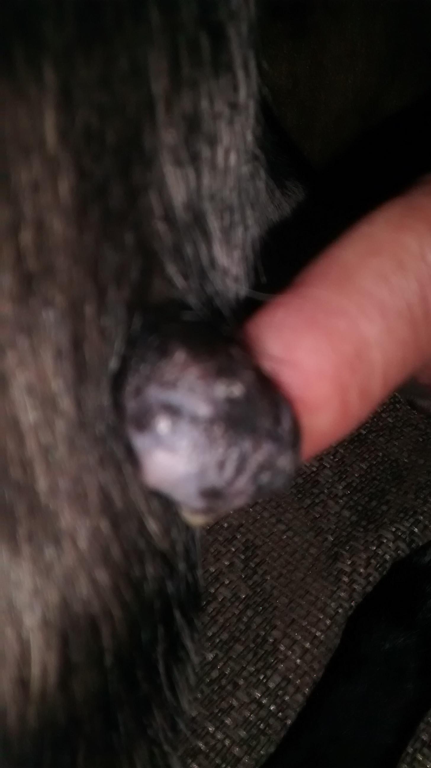 Question details sensitive content