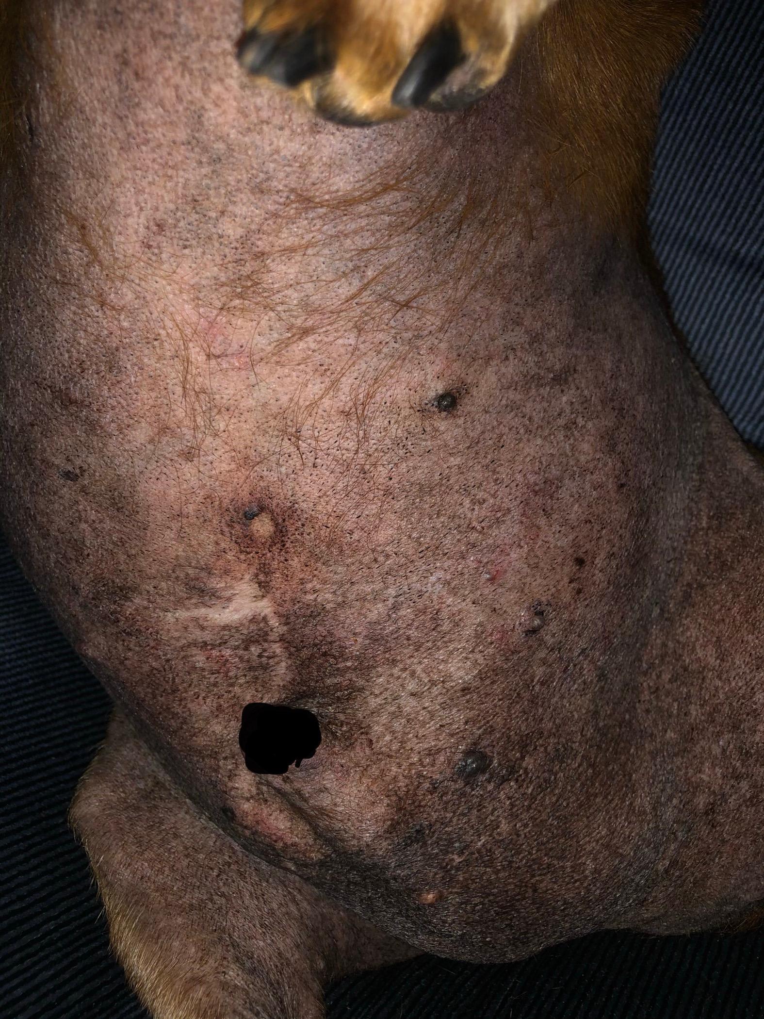 Question details sensitive content