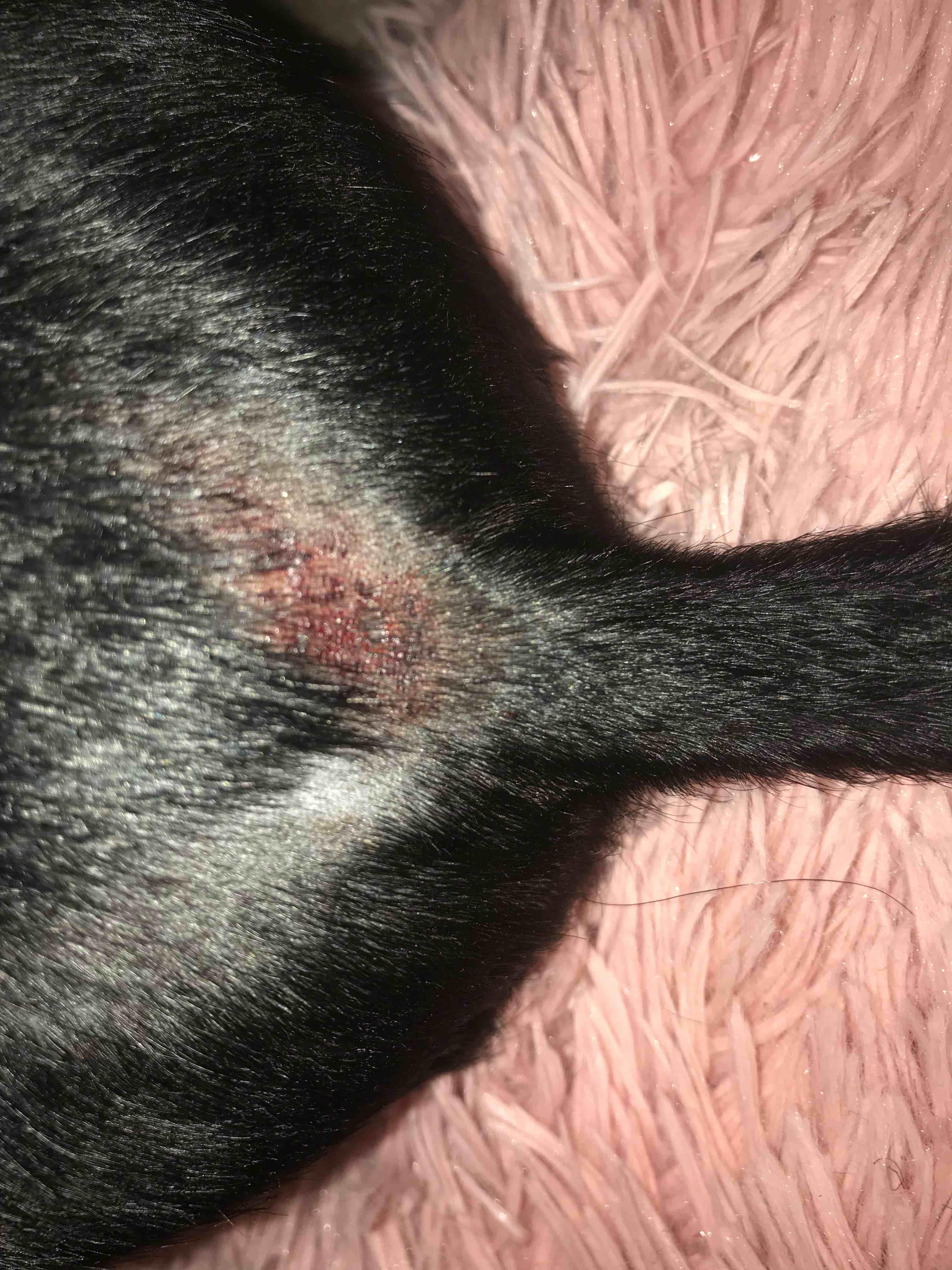 Question details sensitive content