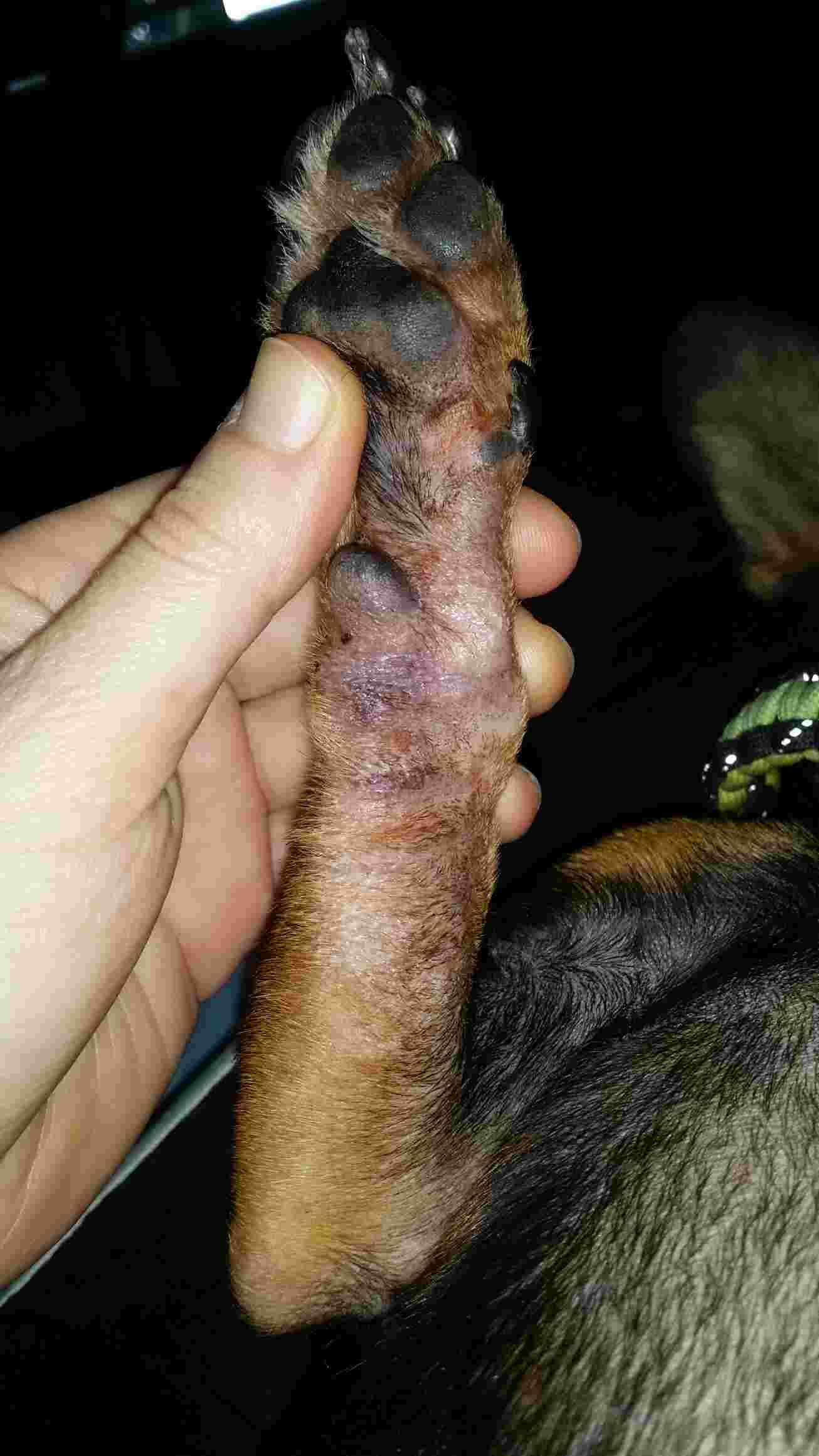 Question details sensitive content