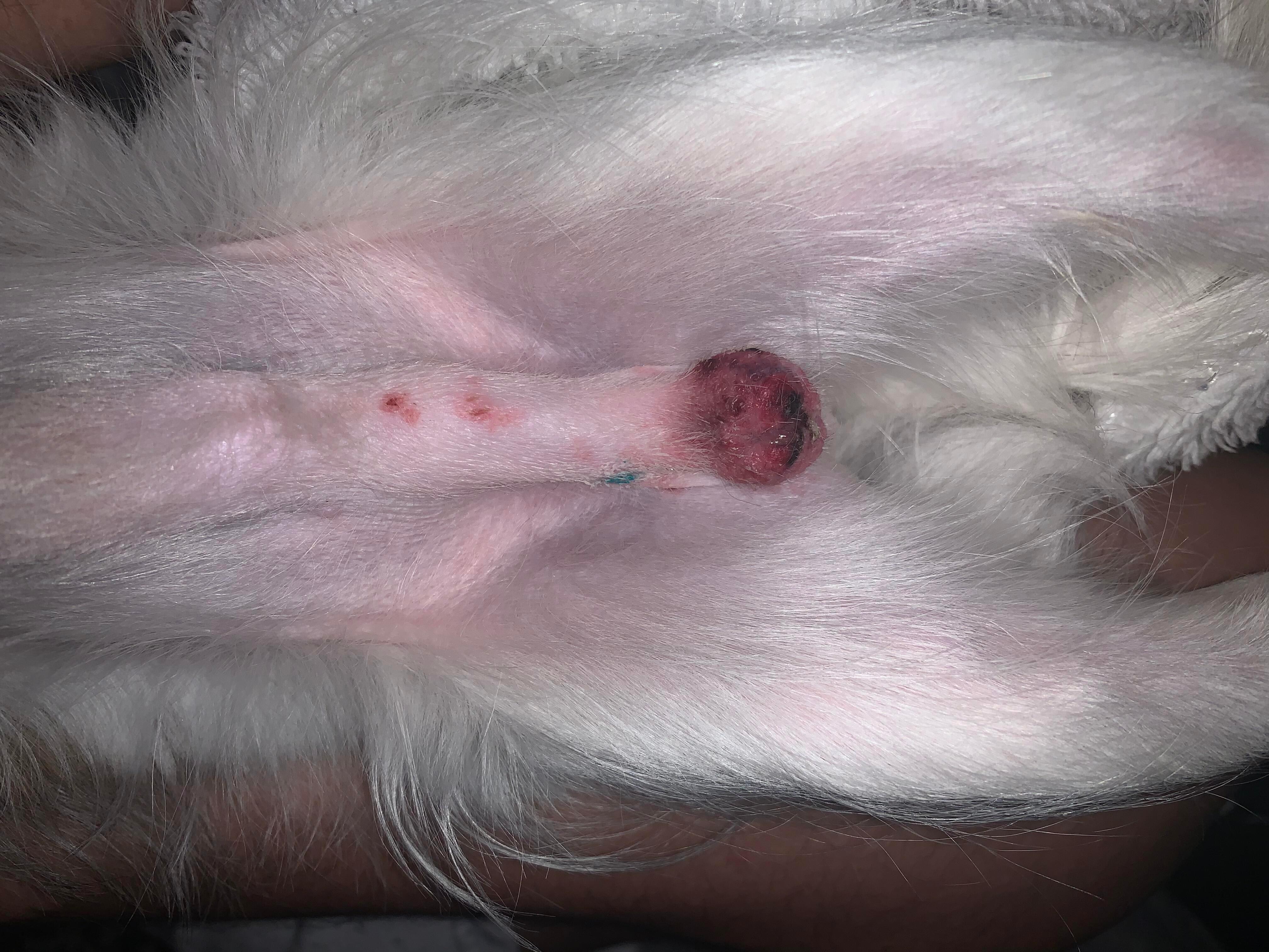 Question details sensitive content