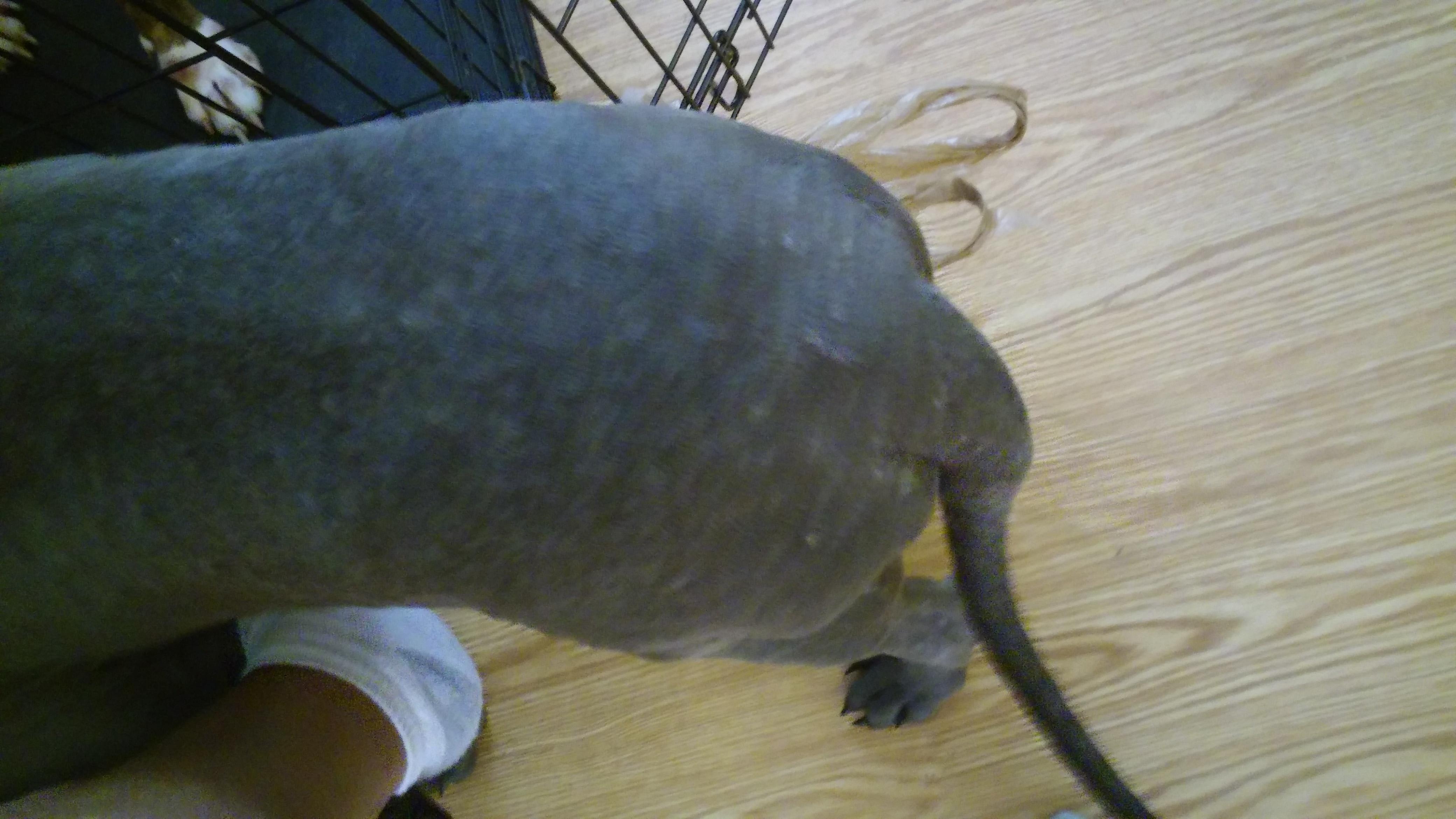 Question details sensitive content