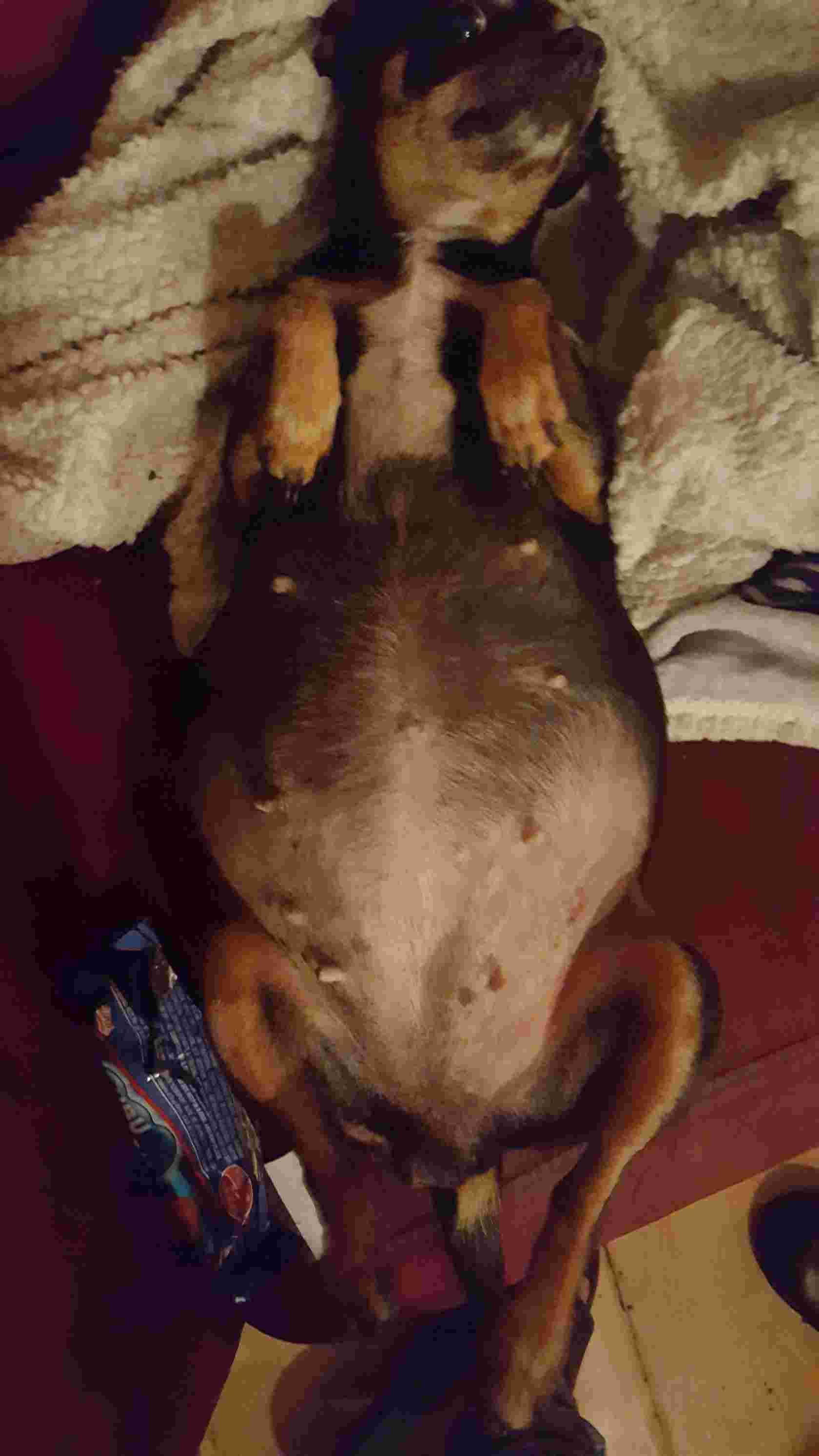 Question details sensitive content