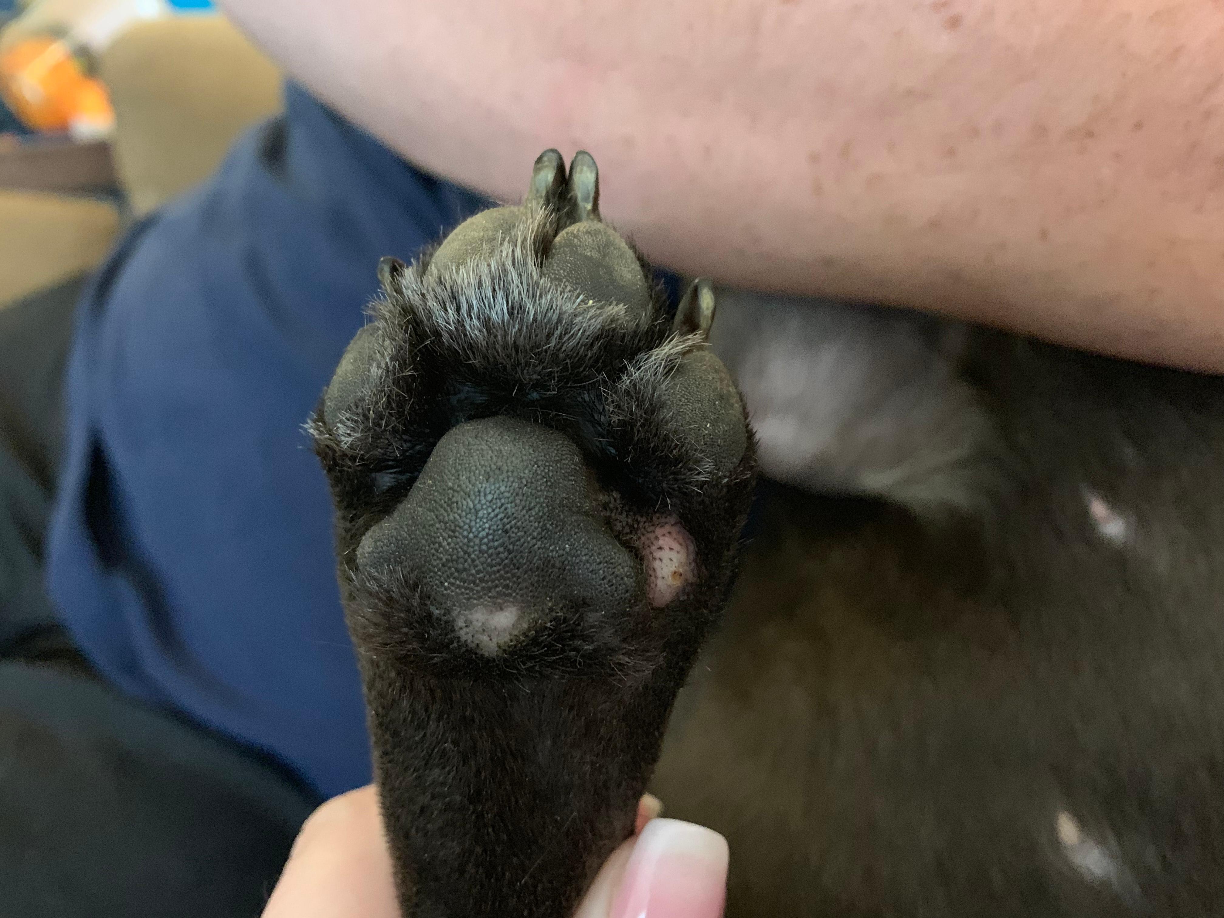 Question details sensitive content