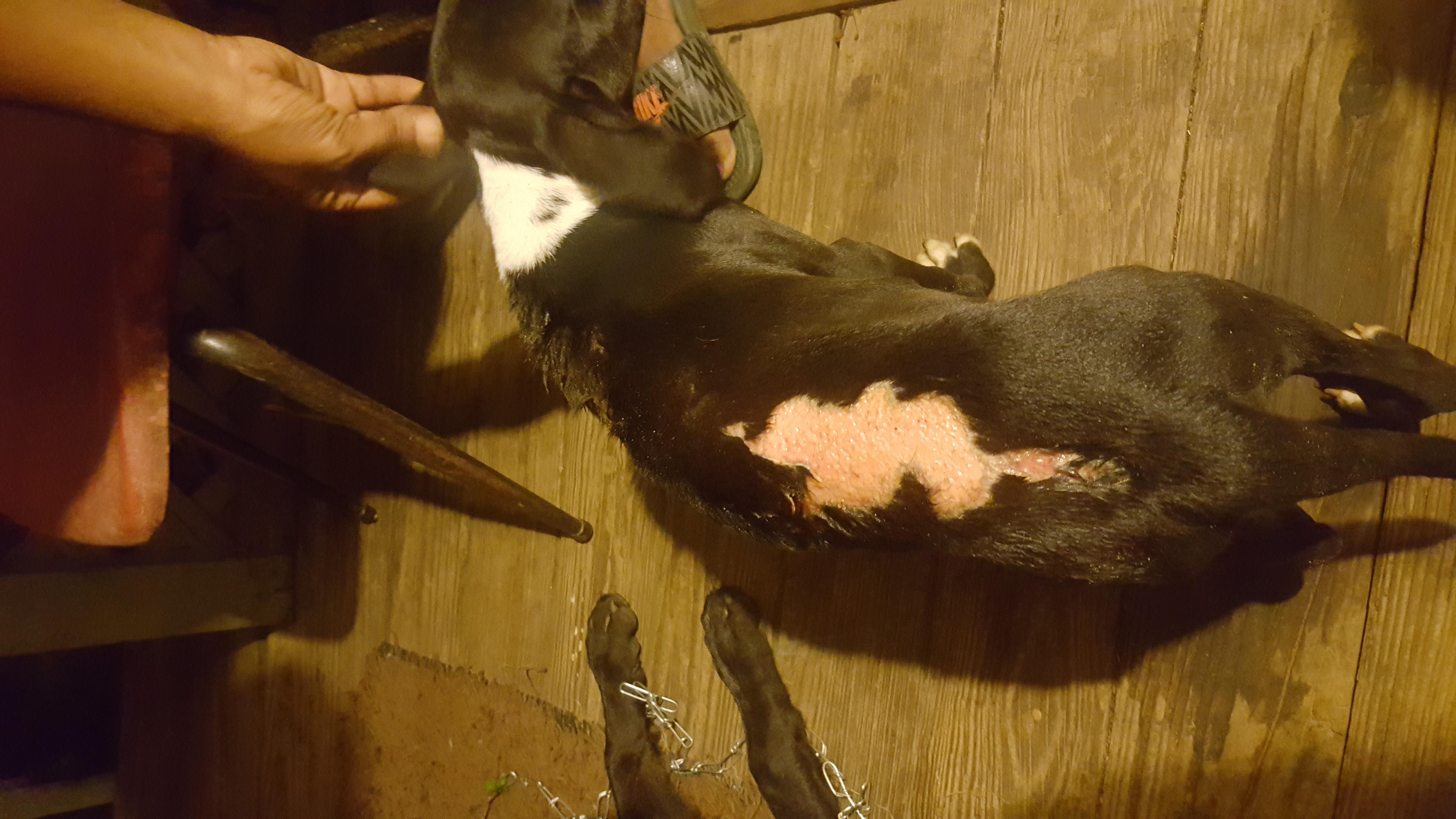 Question details sensitive content