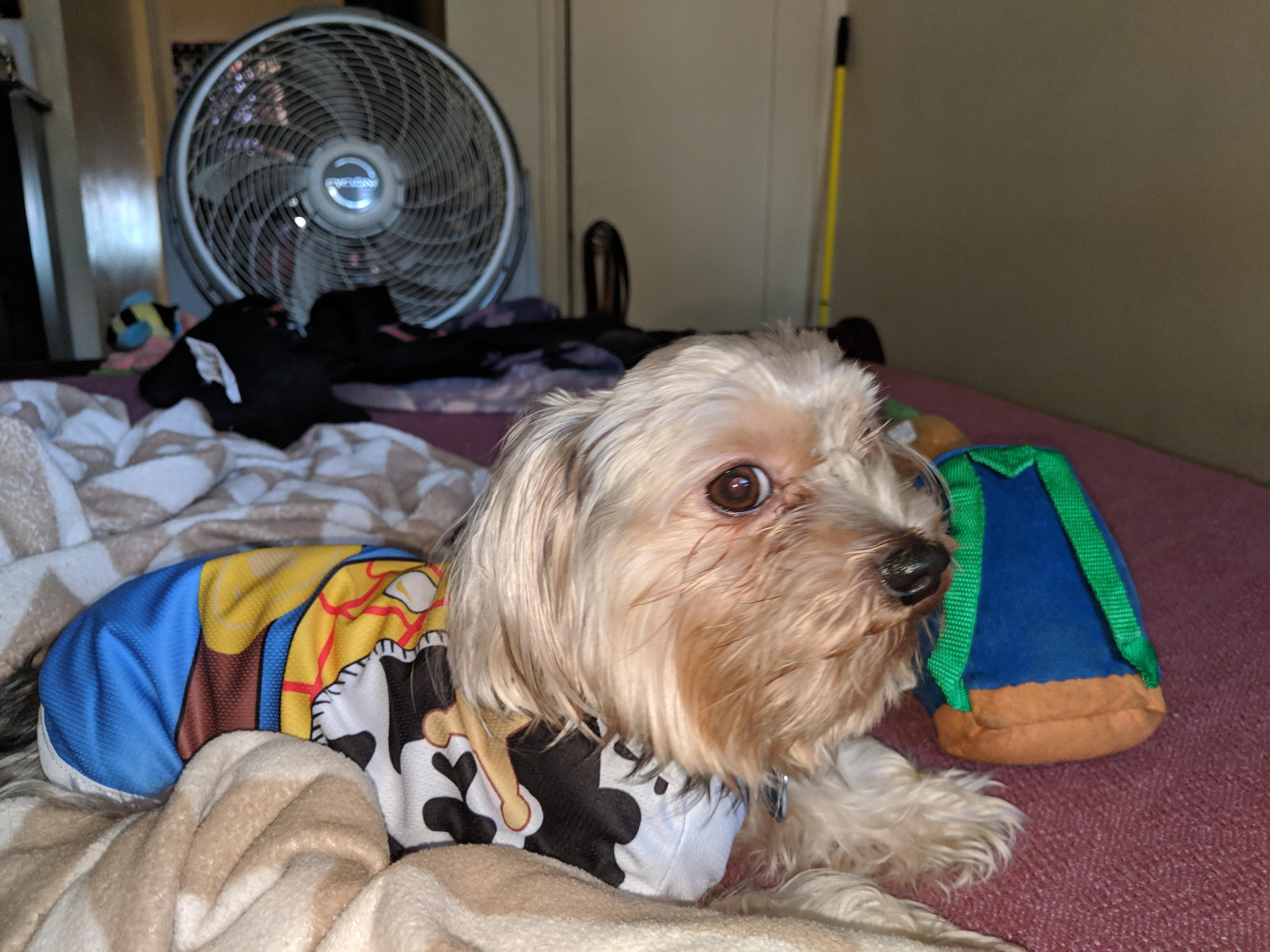 Question details sensitive content