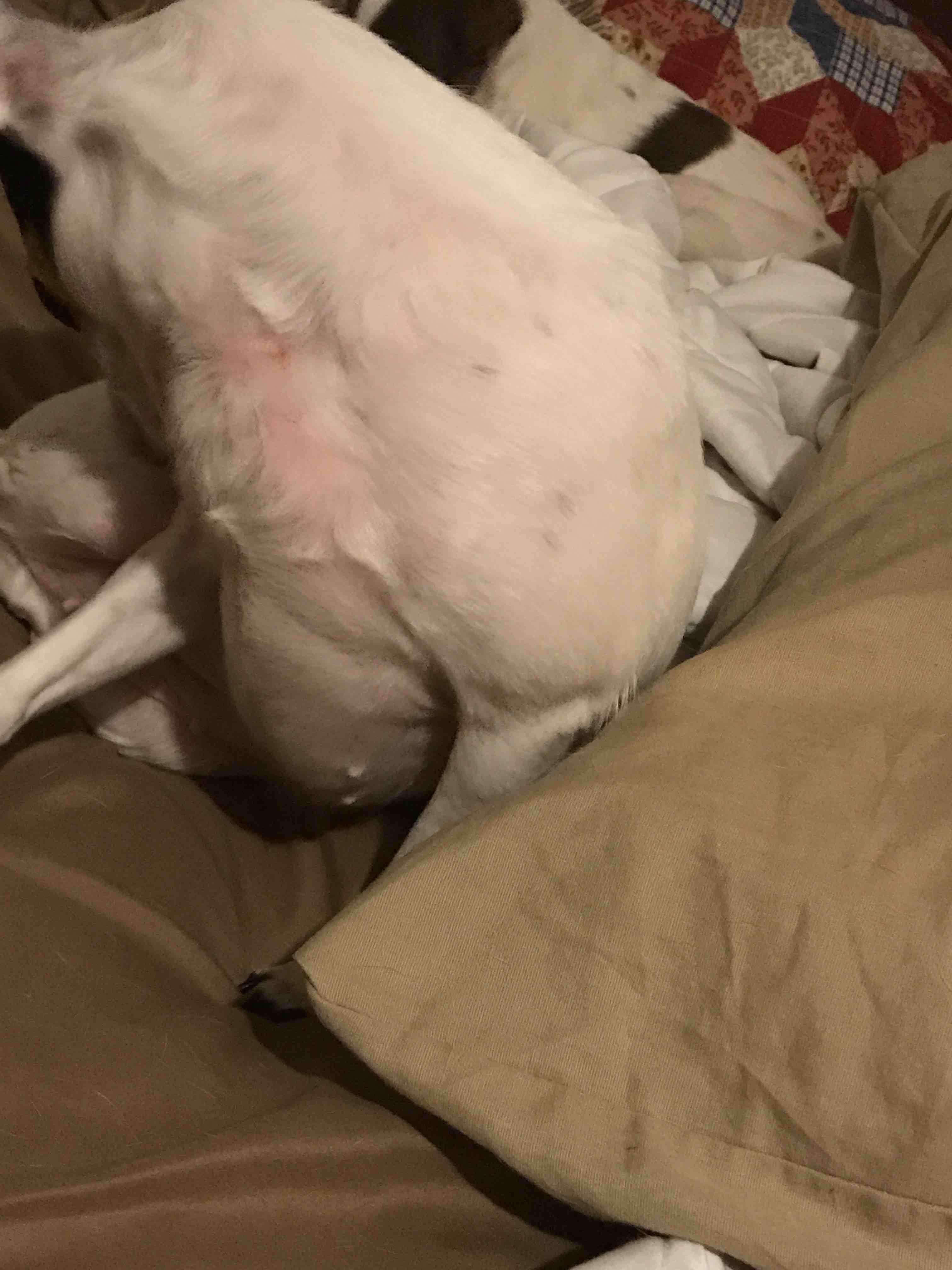 Question details sensitive content