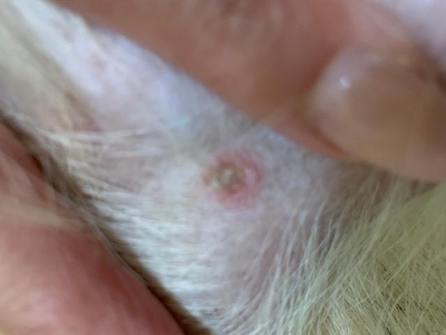 Question details sensitive content