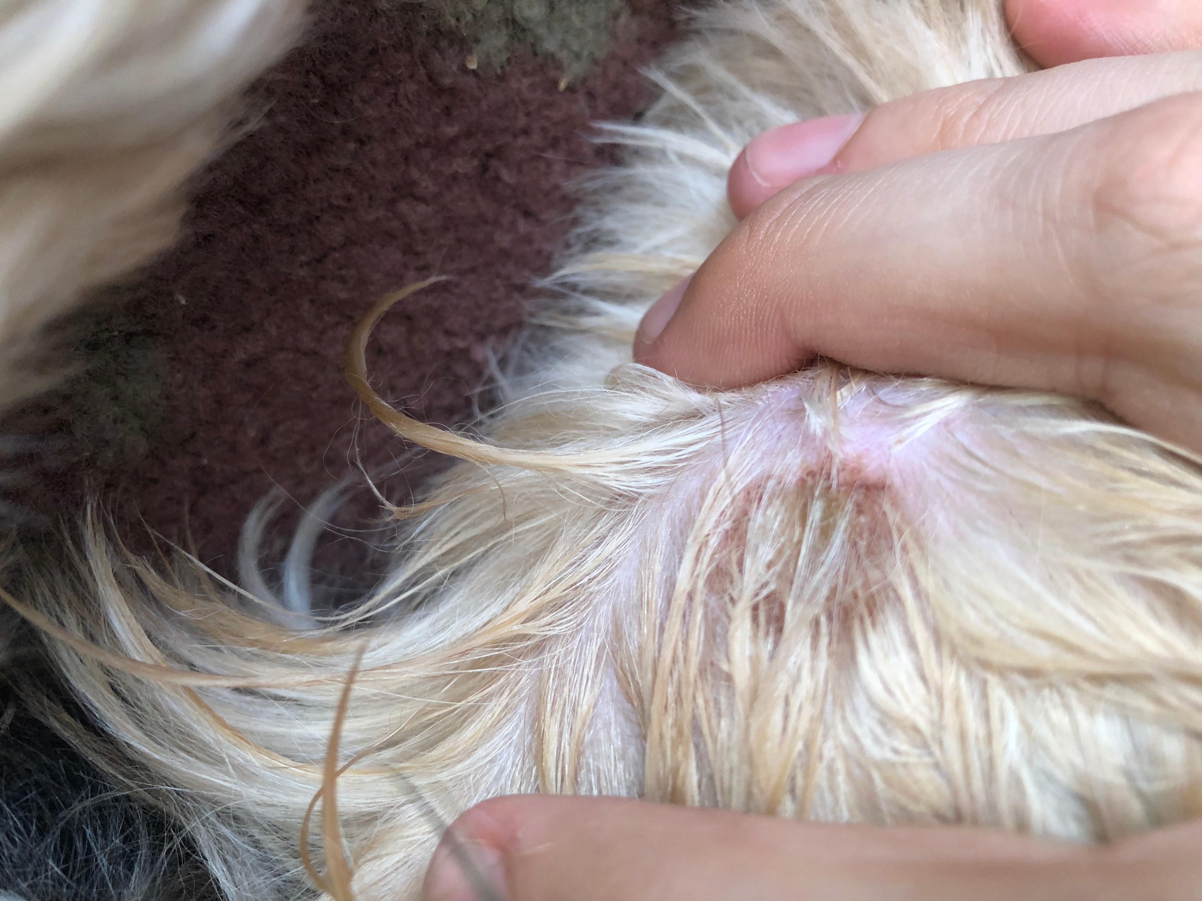 Question details sensitive content