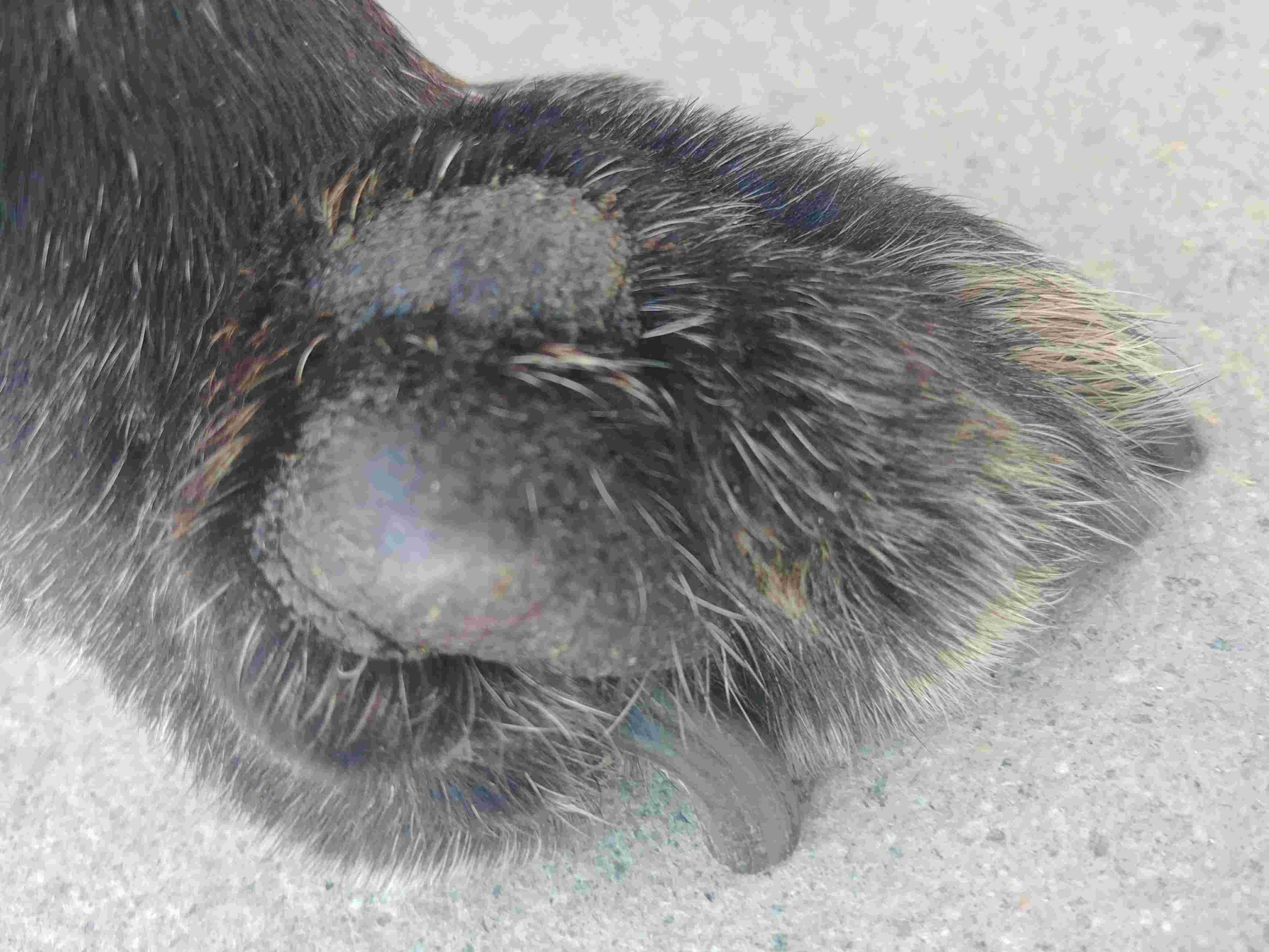 Question details sensitive content