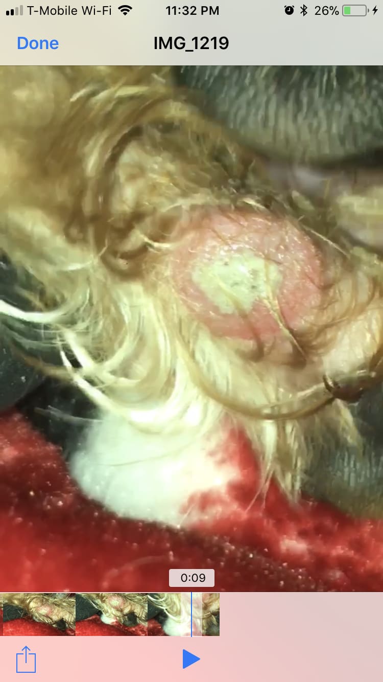 Question details sensitive content