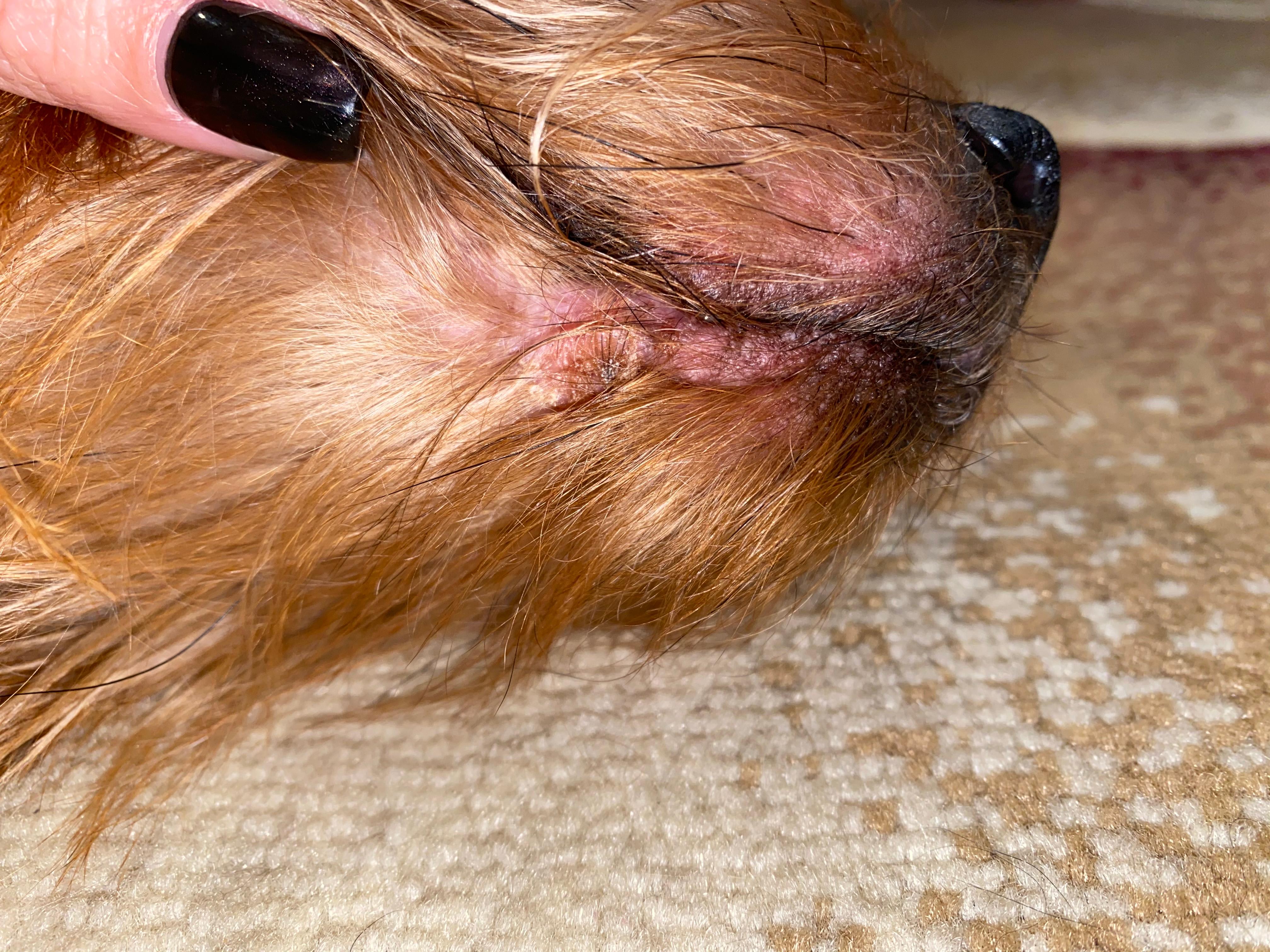 Question details sensitive content