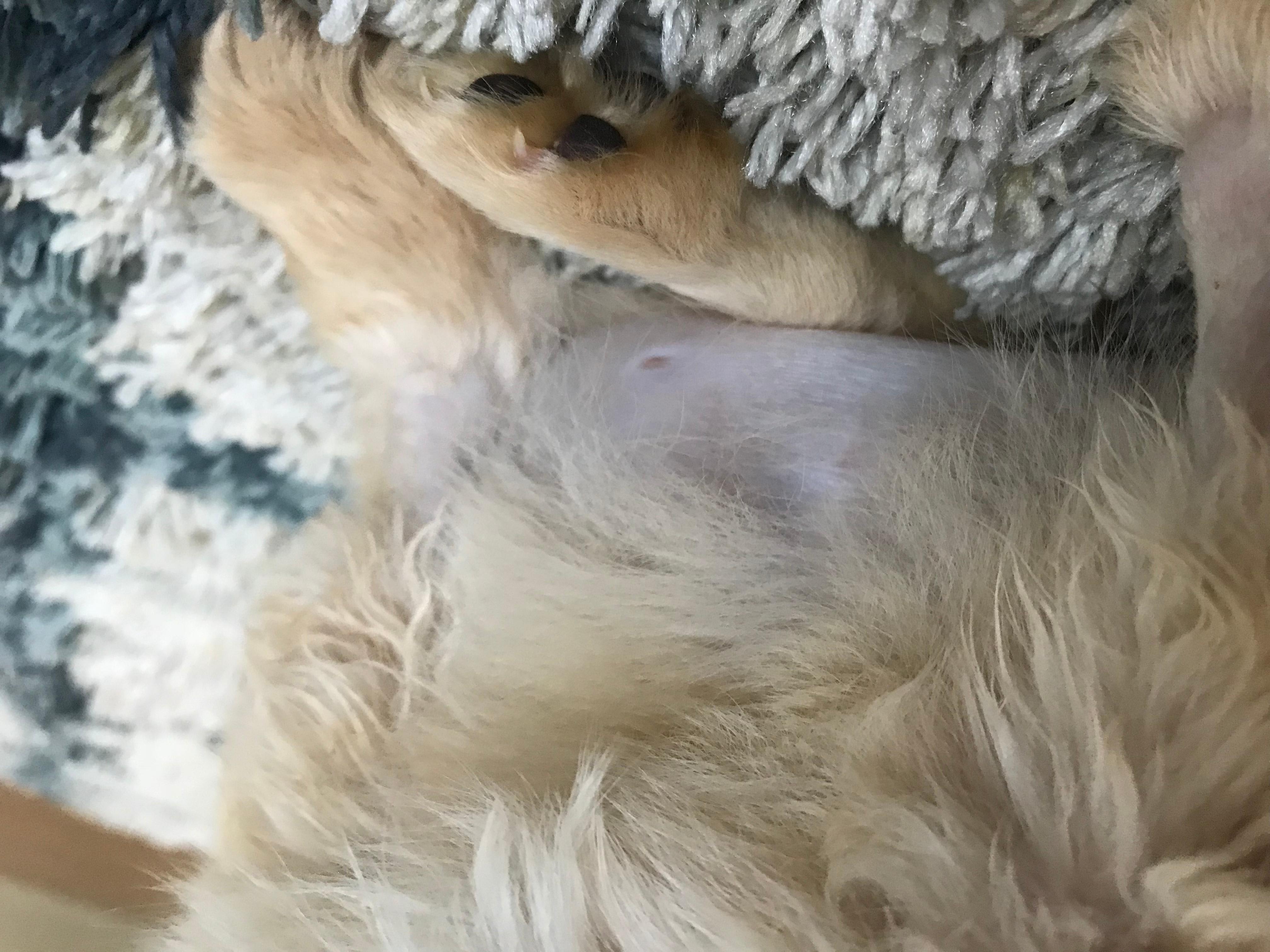 Question details sensitive content