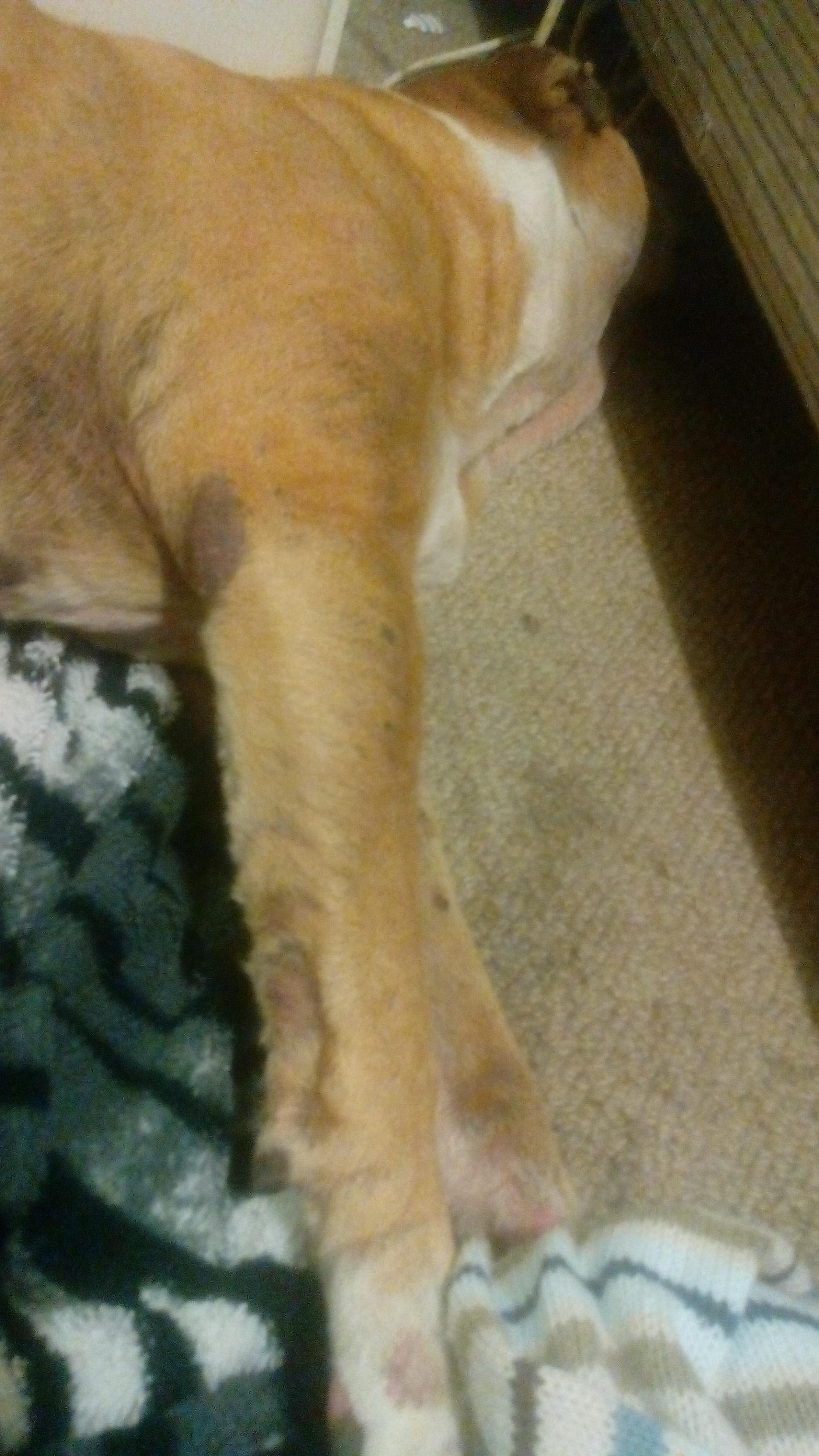 Question details sensitive content