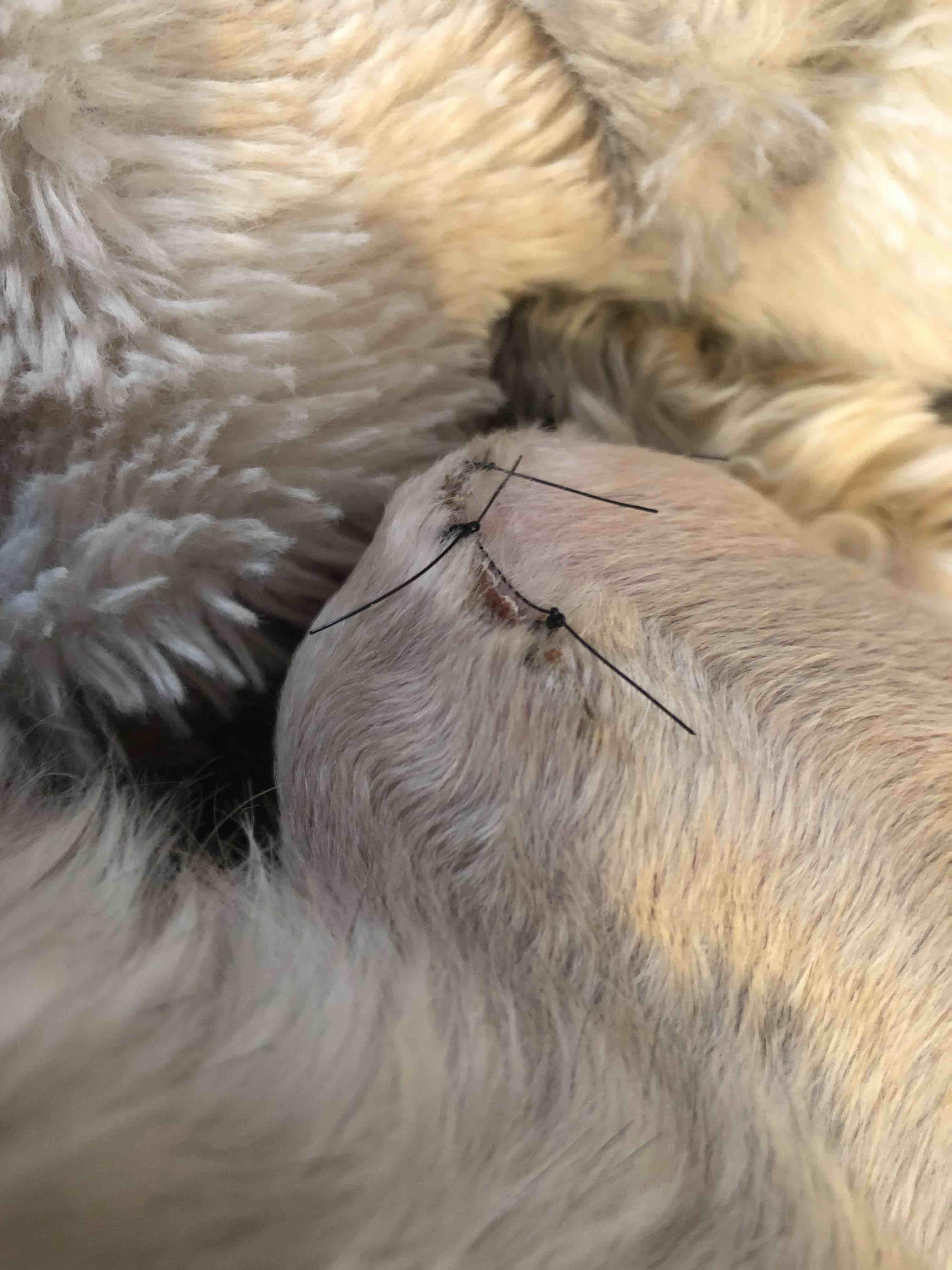 Question details sensitive content