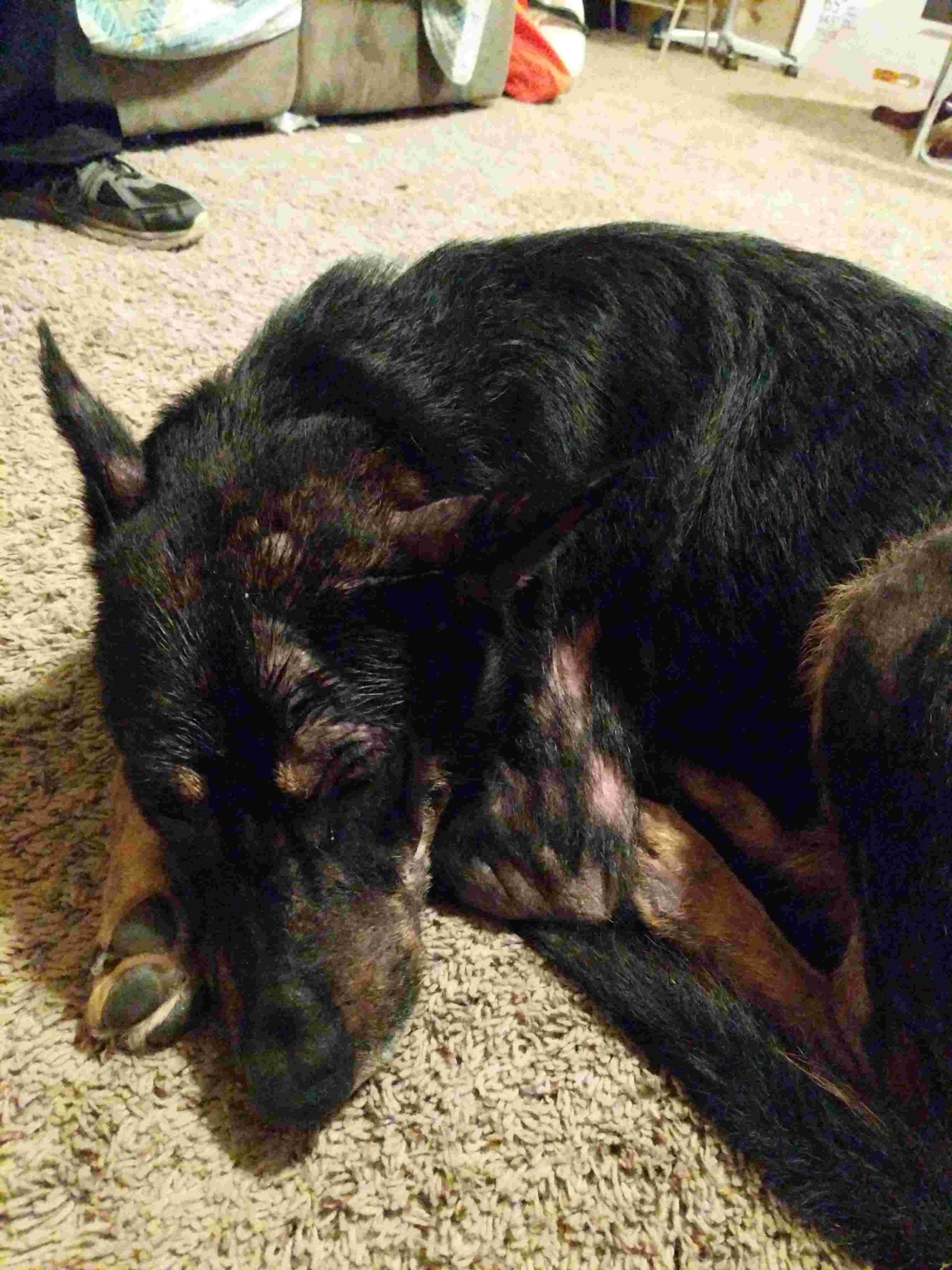 Question details sensitive content