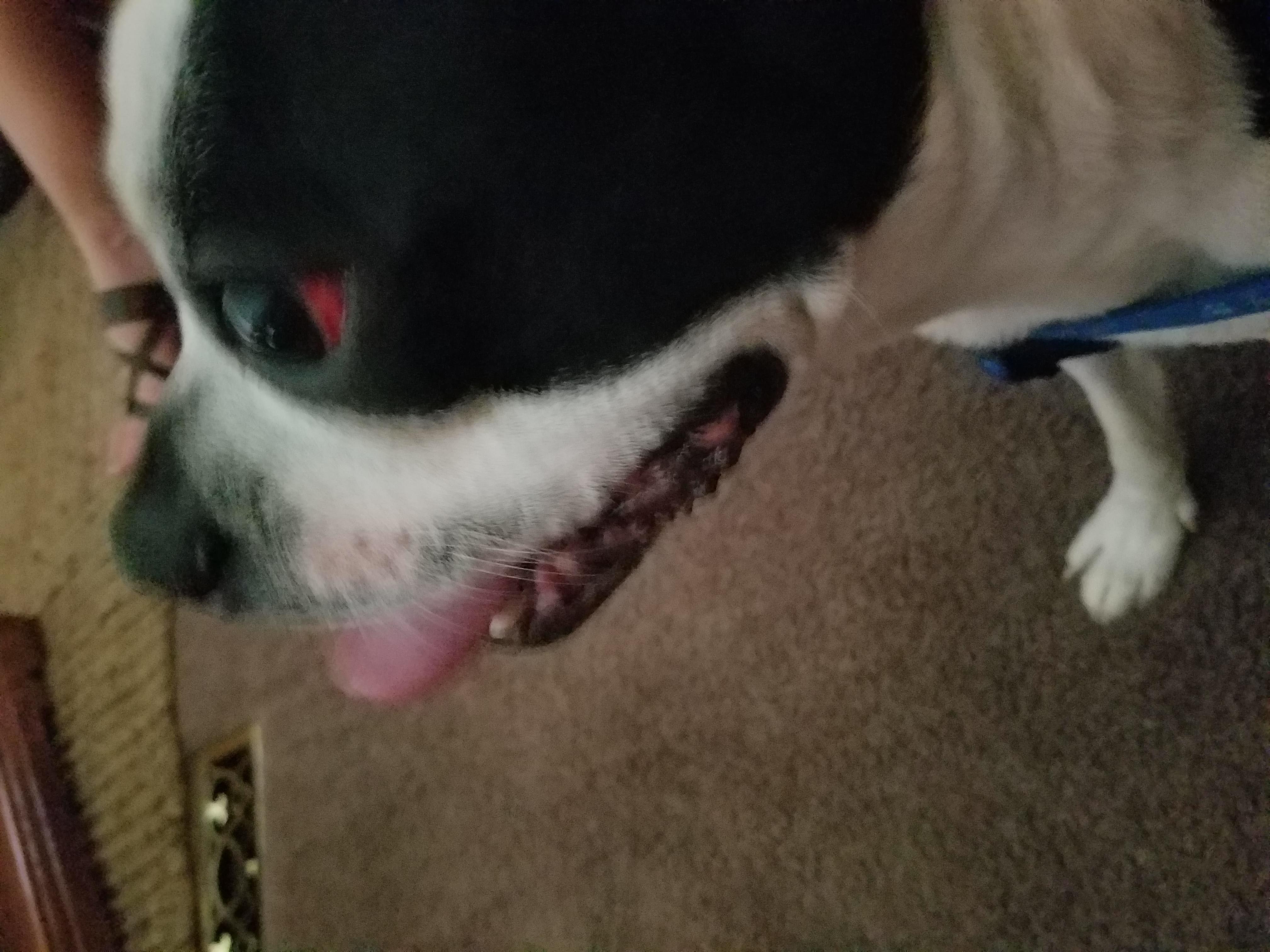 Question details sensitive content