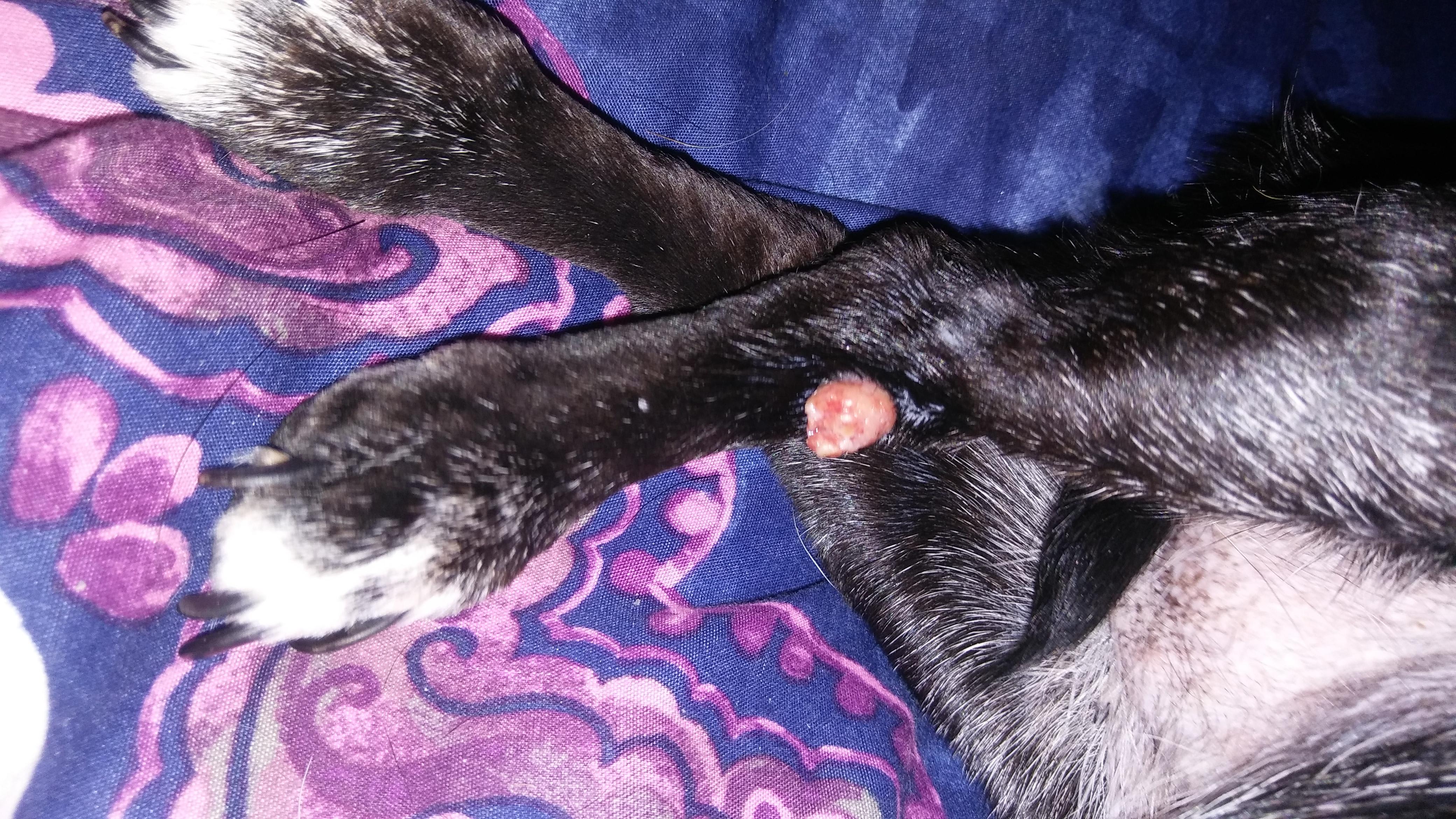 Question details sensitive content