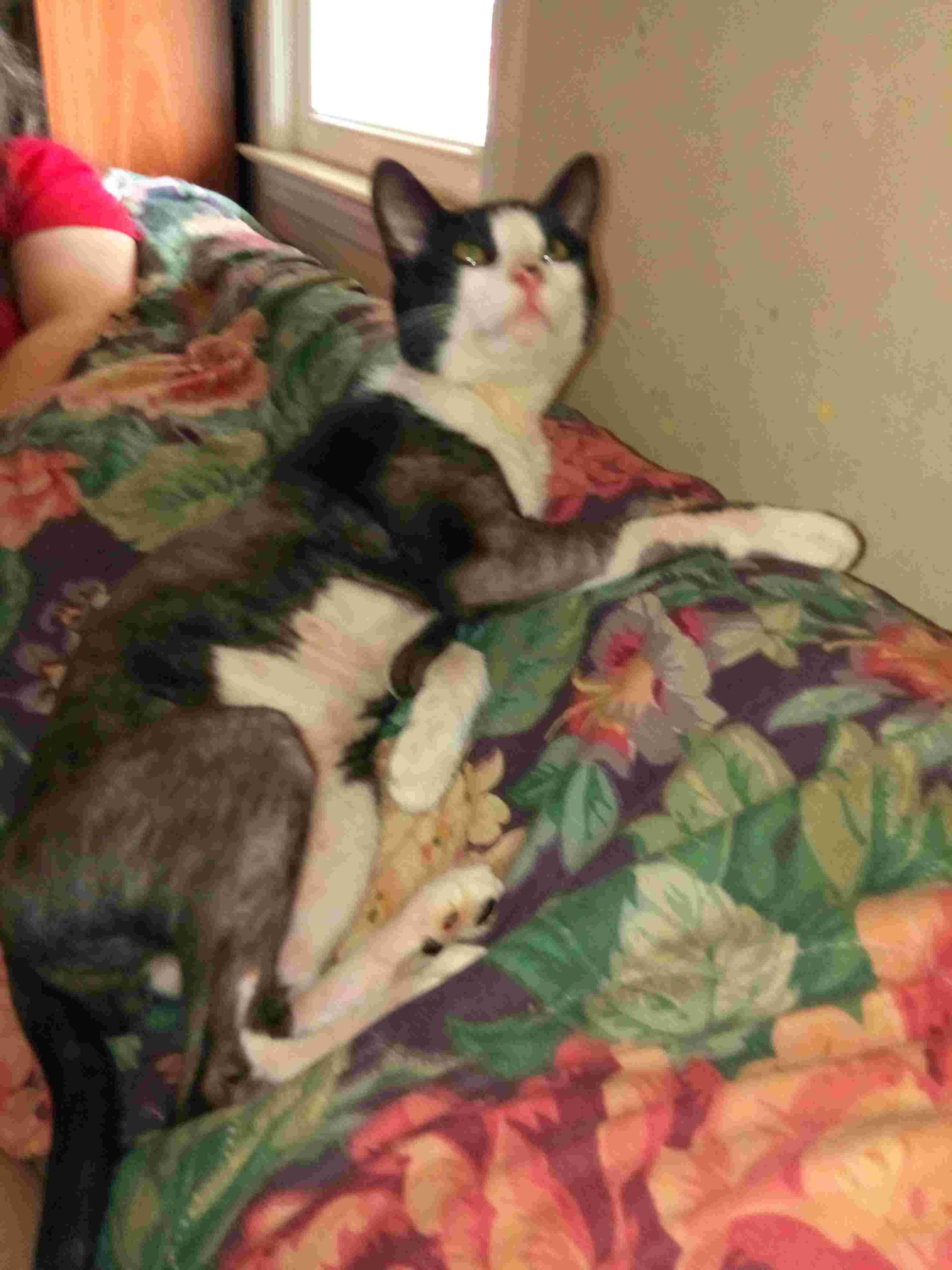 Question details sensitive content