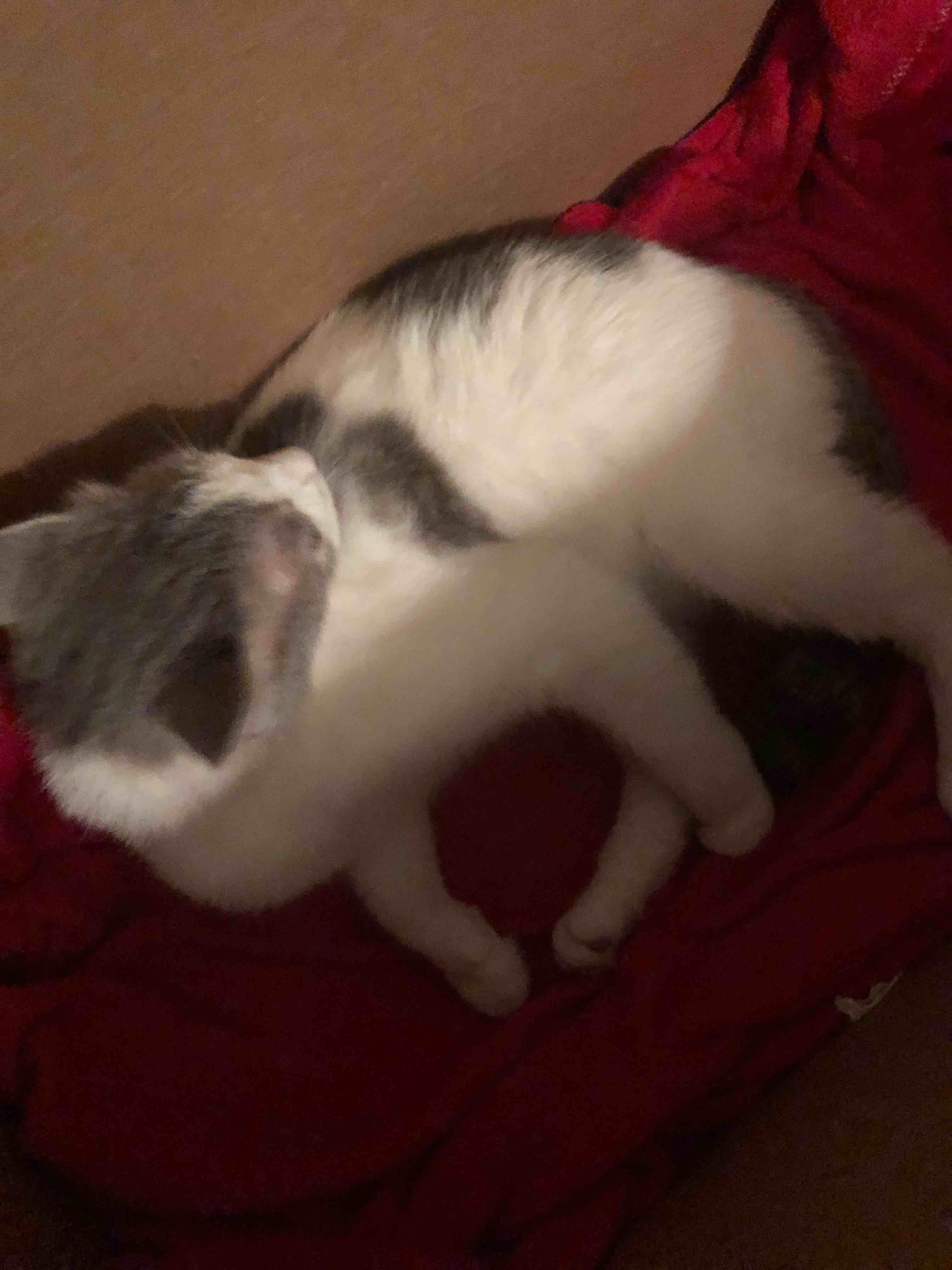 Question details sensitive content