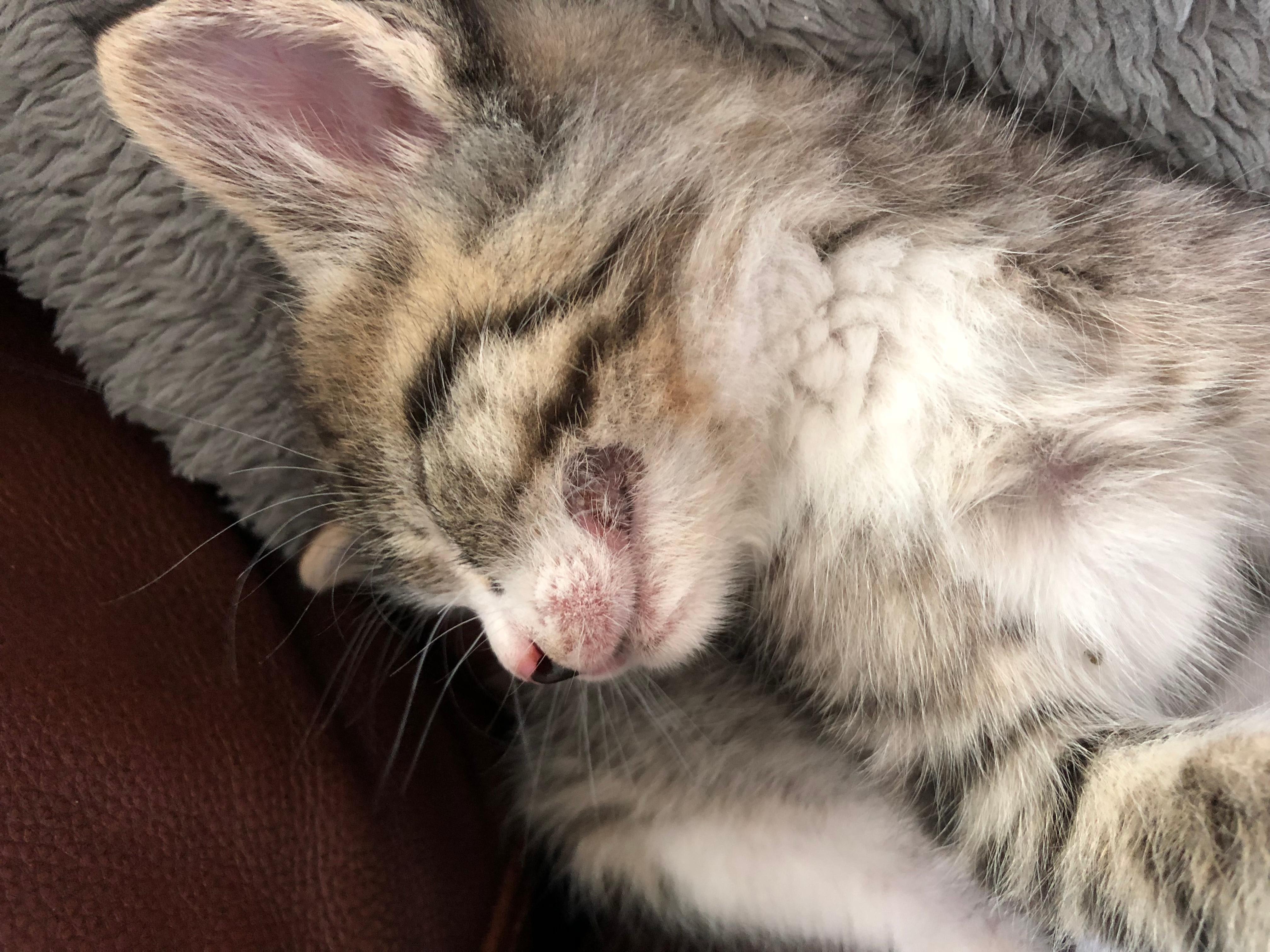 Question details sensitive content