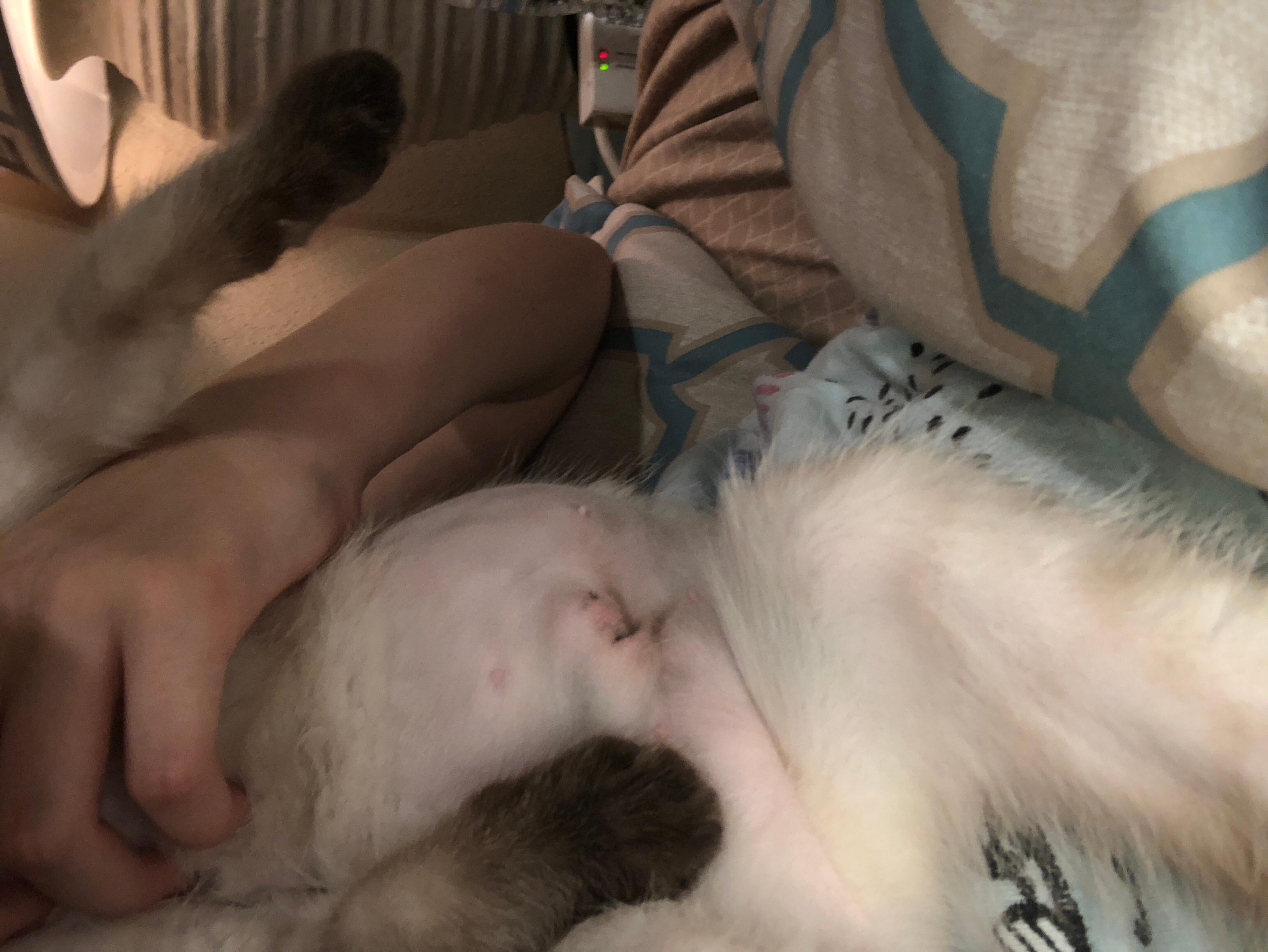 Question details sensitive content