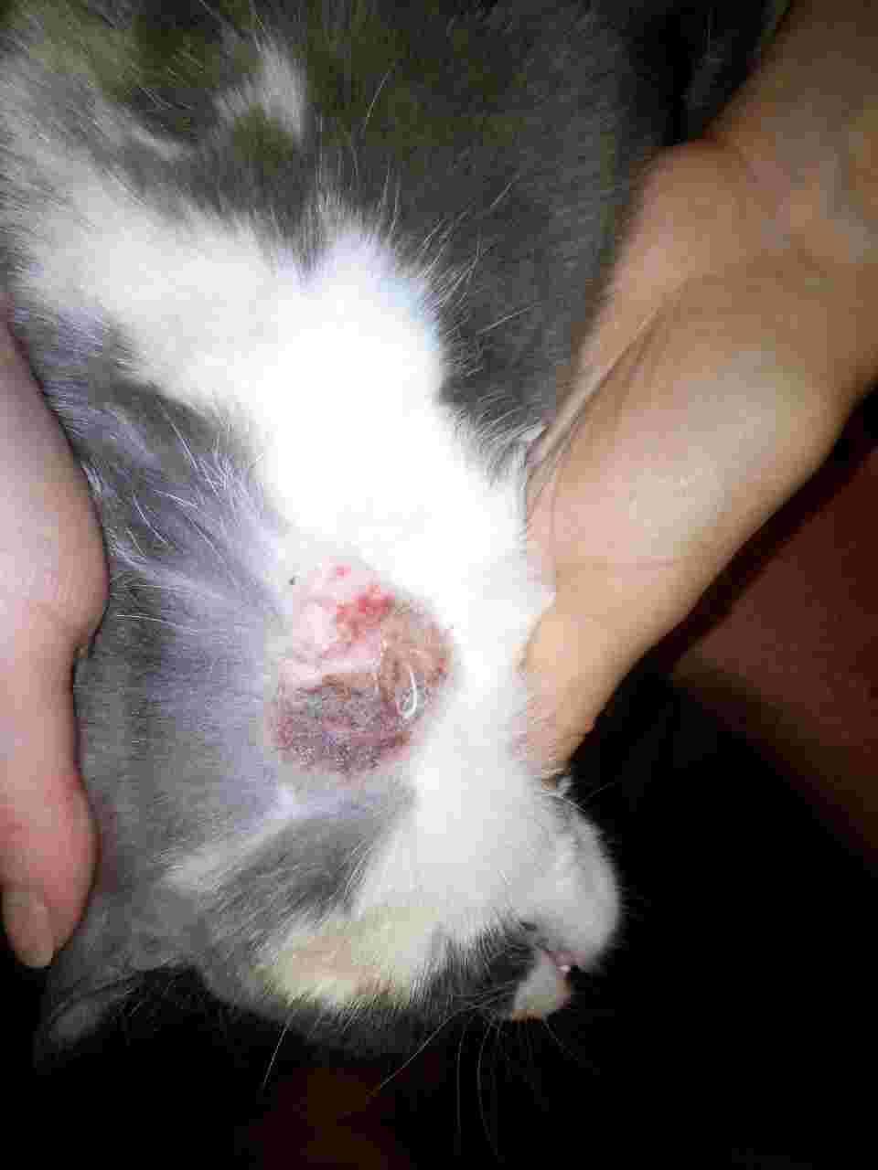 Question details sensitive content