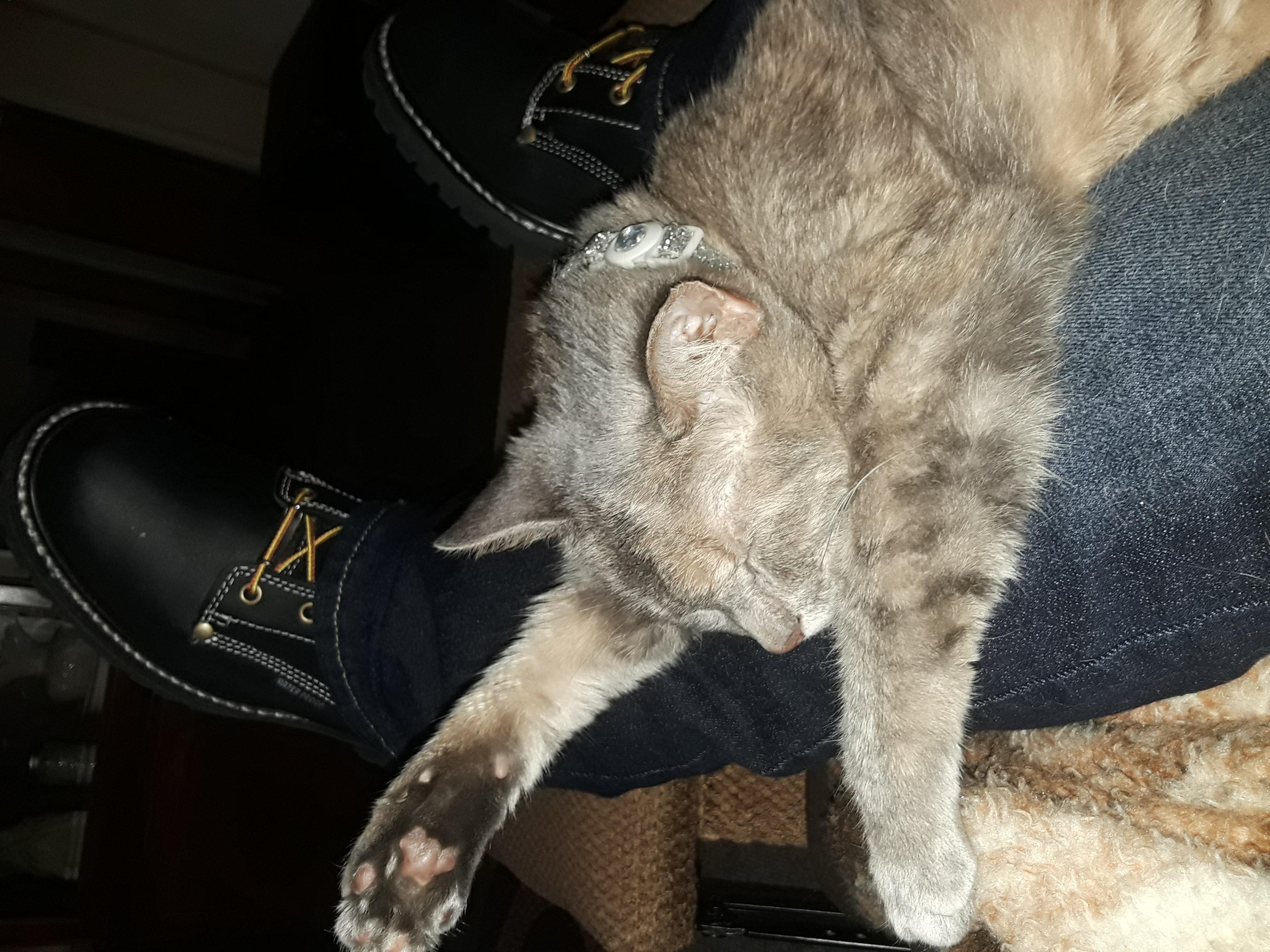 Question details sensitive content