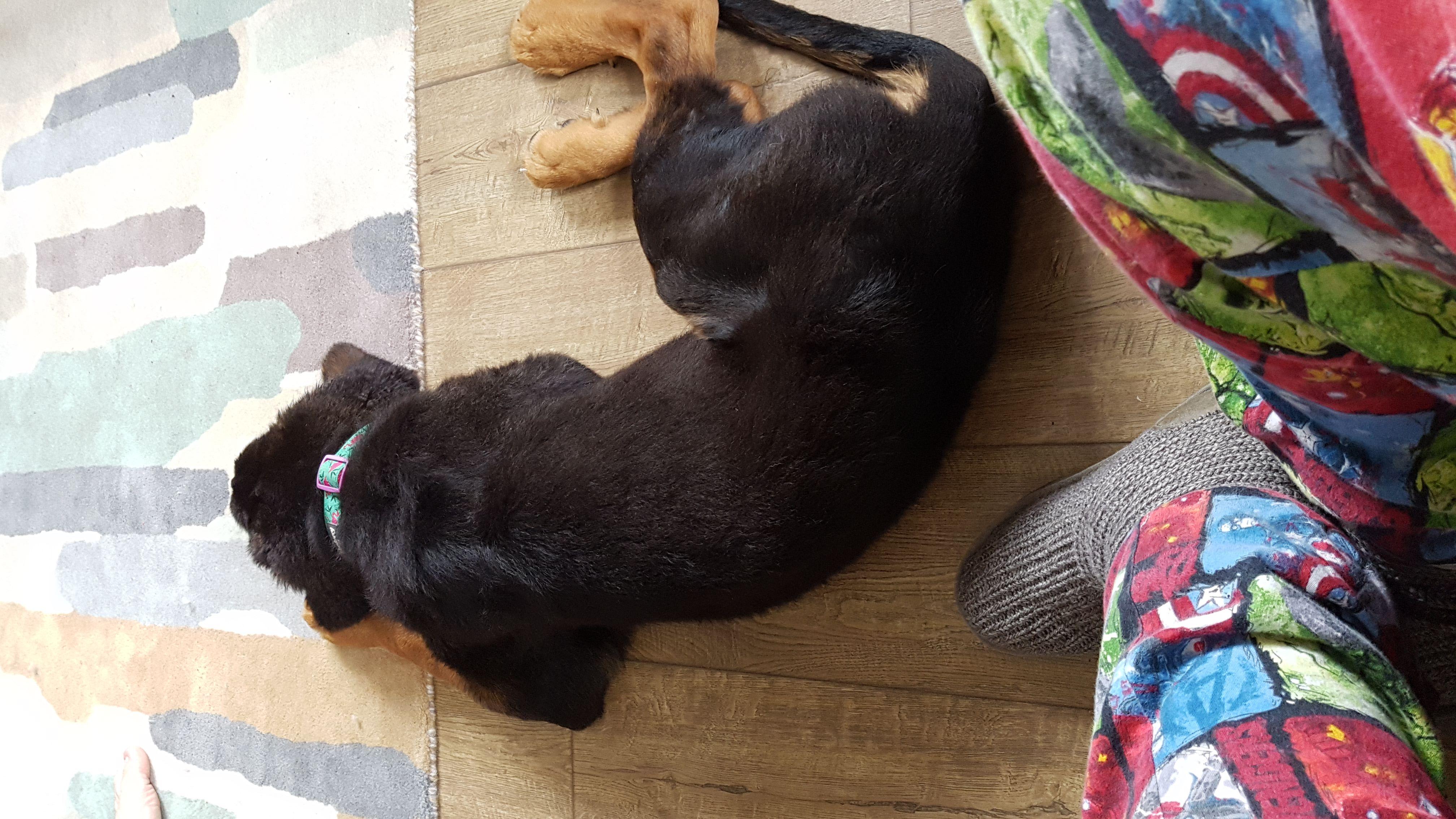 Question details sensitive content