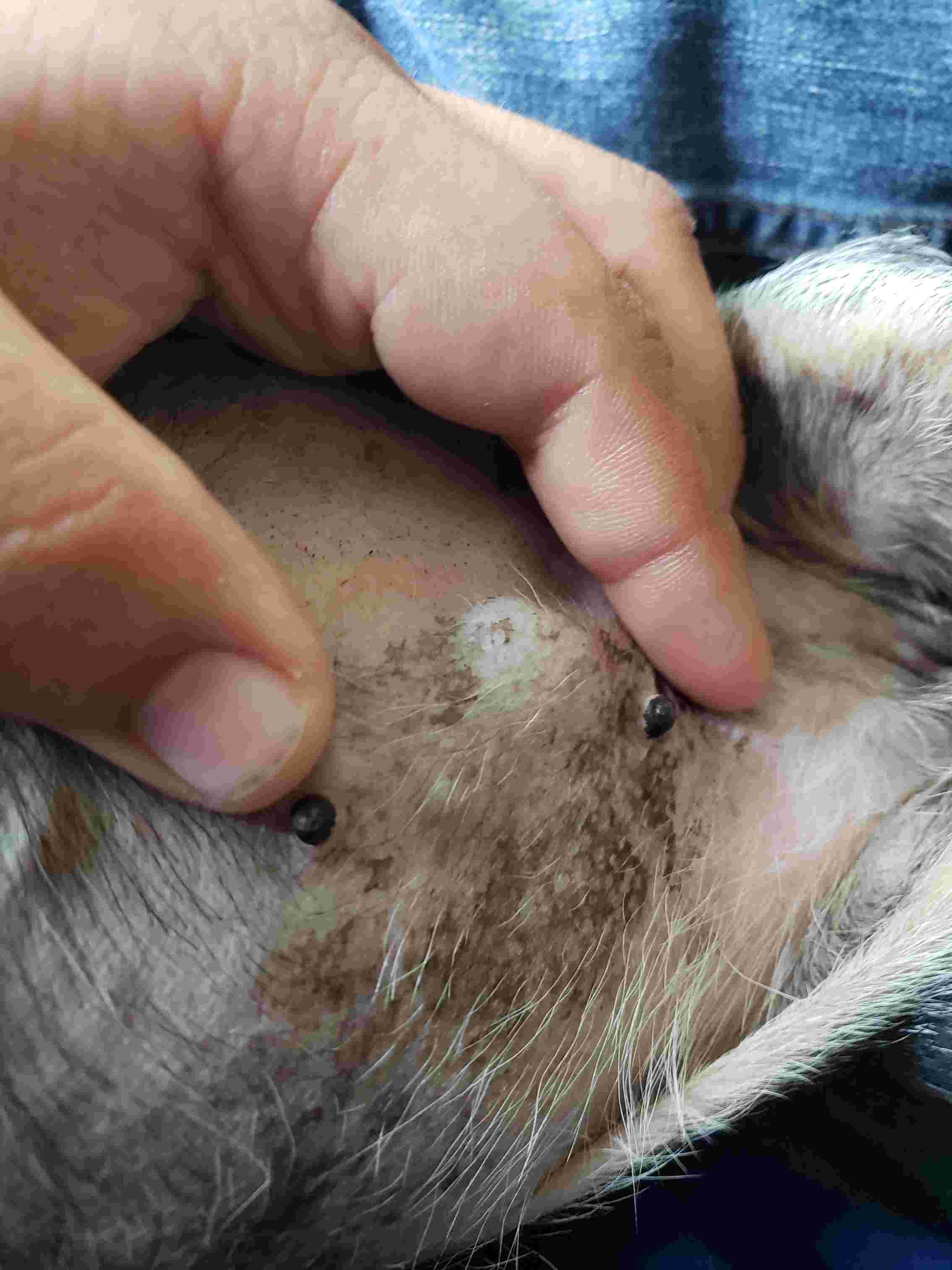 Question details sensitive content